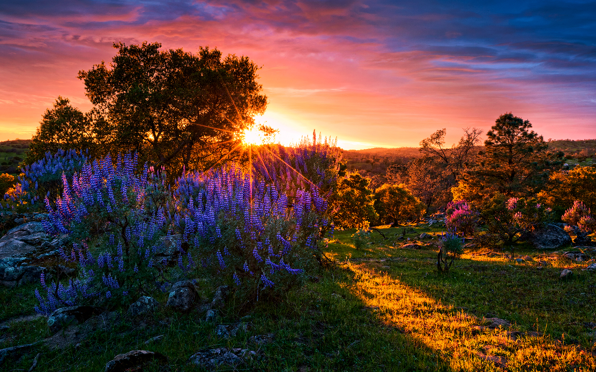 Laden Sie das Sonnenaufgang, Erde/natur-Bild kostenlos auf Ihren PC-Desktop herunter