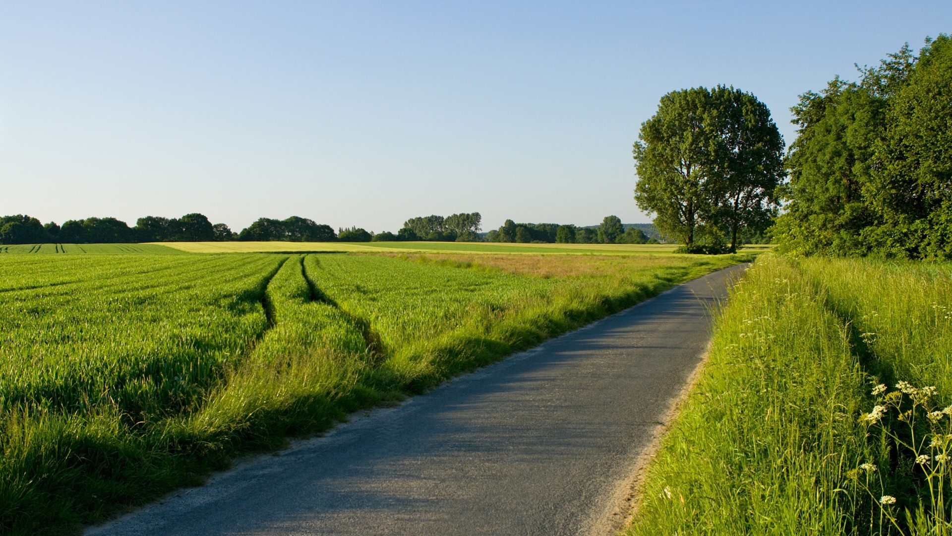 Free download wallpaper Nature, Grass, Summer, Road, Tree, Field, Path, Man Made on your PC desktop