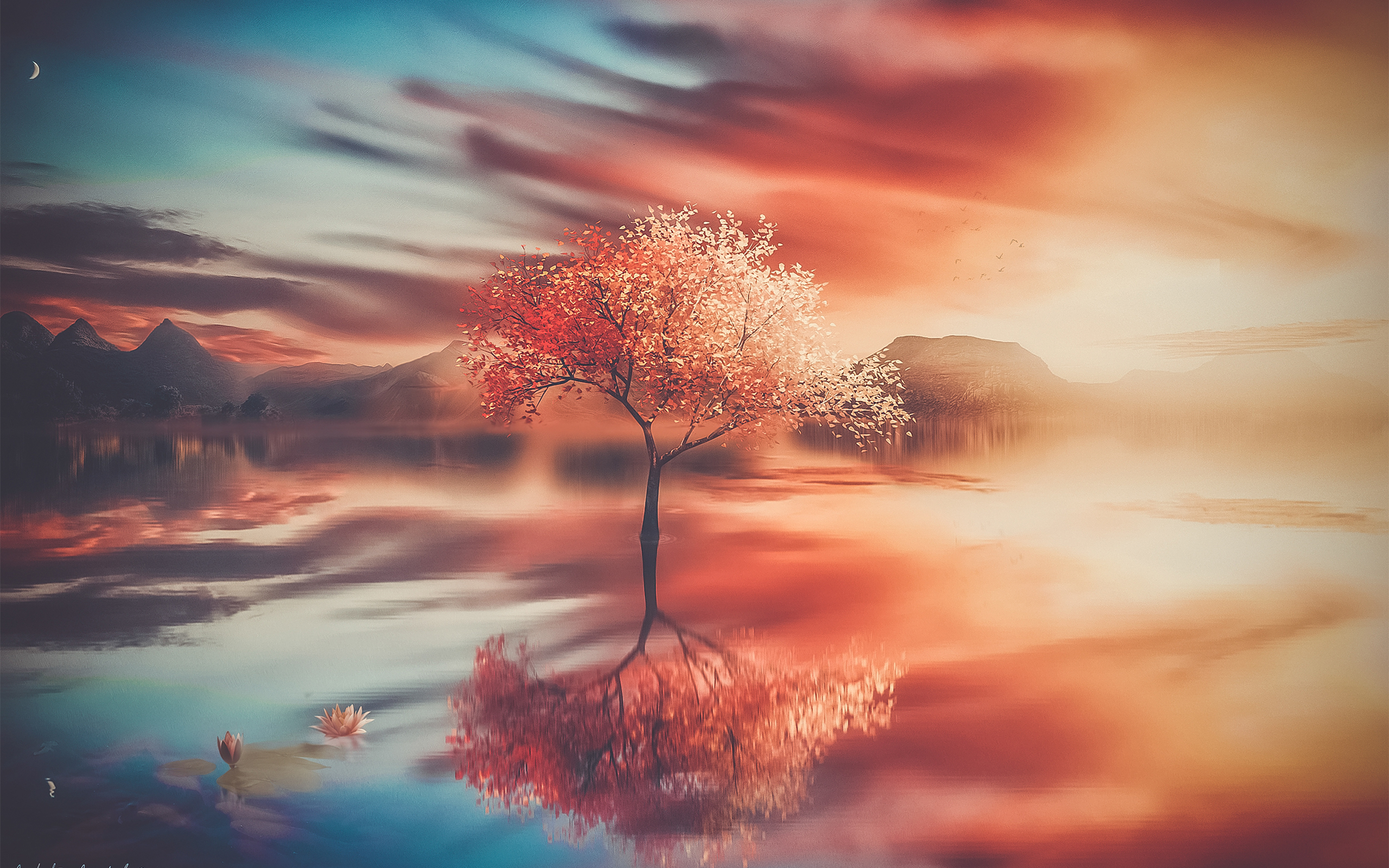 Free download wallpaper Trees, Reflection, Tree, Earth on your PC desktop