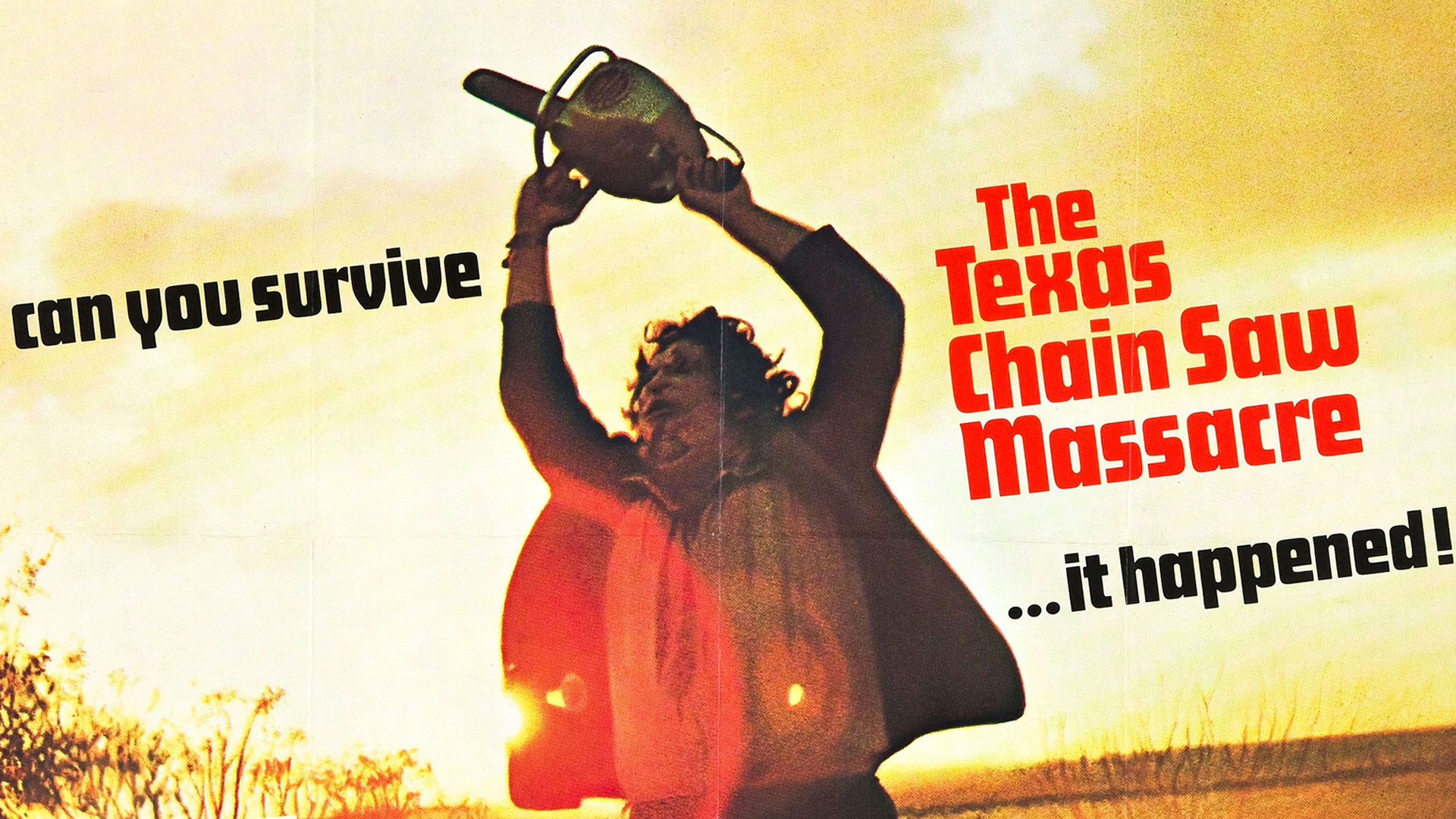 the texas chainsaw massacre (1974), movie