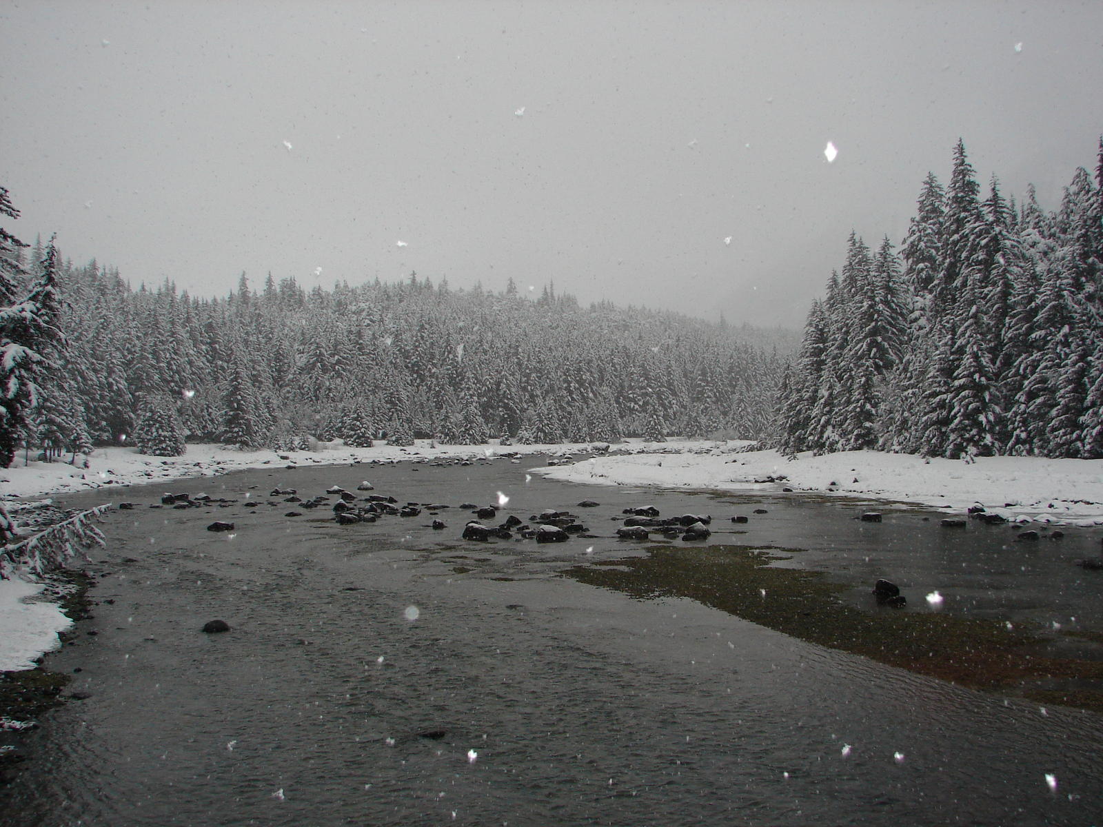 Téléchargez gratuitement l'image Hiver, Terre/nature sur le bureau de votre PC