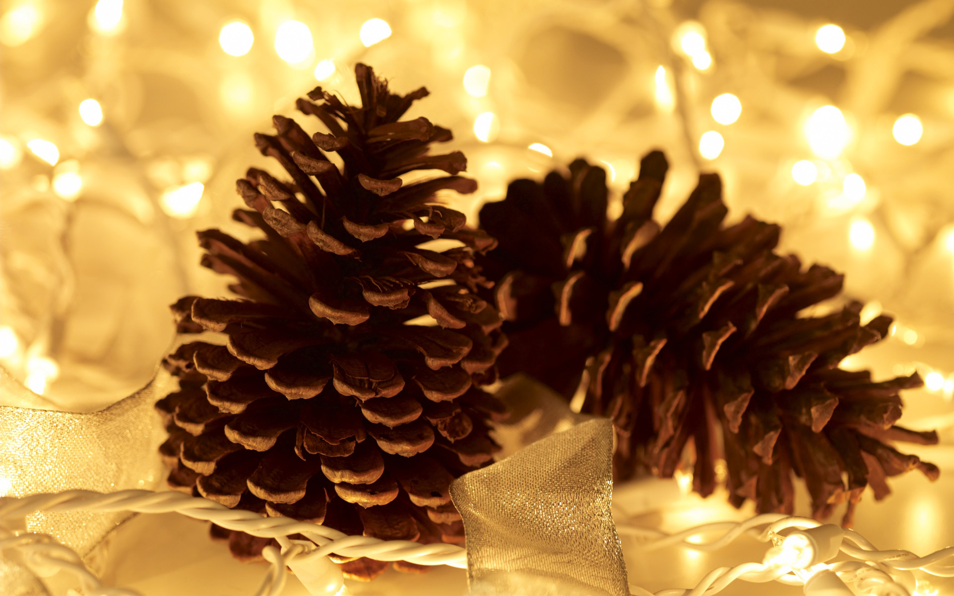 Free download wallpaper Christmas, Holiday, Christmas Lights, Pine Cone on your PC desktop