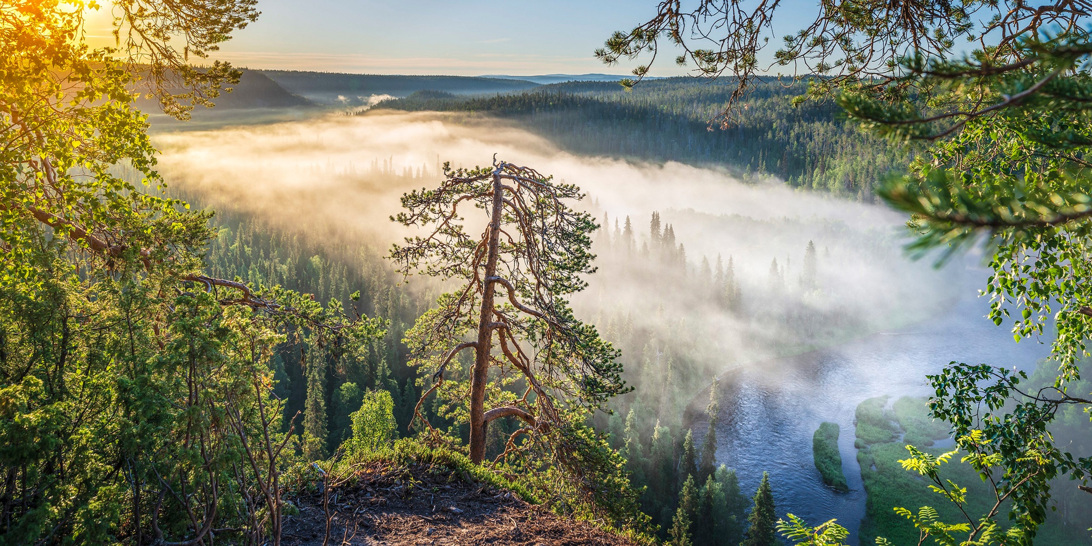 Скачати мобільні шпалери Туман, Земля, Фінляндія безкоштовно.