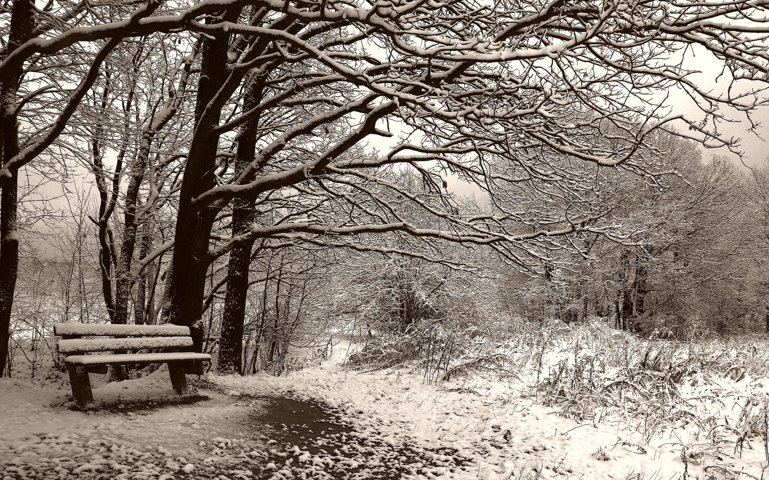Descarga gratis la imagen Invierno, Tierra/naturaleza en el escritorio de tu PC
