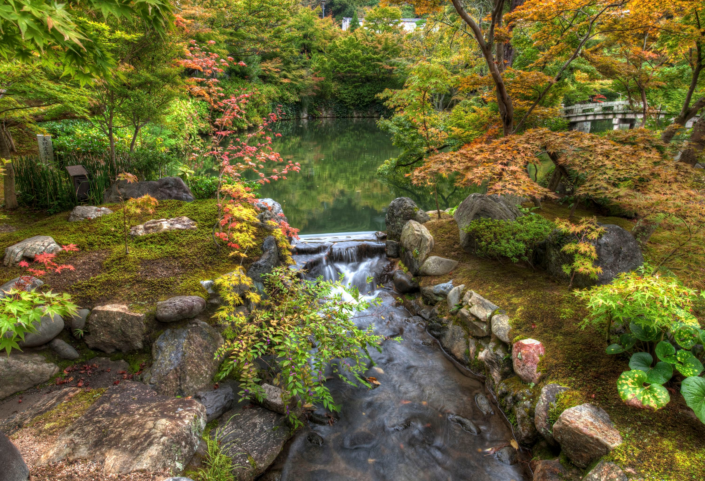 nature, garden, fall, japan, man made, bush, kyoto, park, the harmony garden