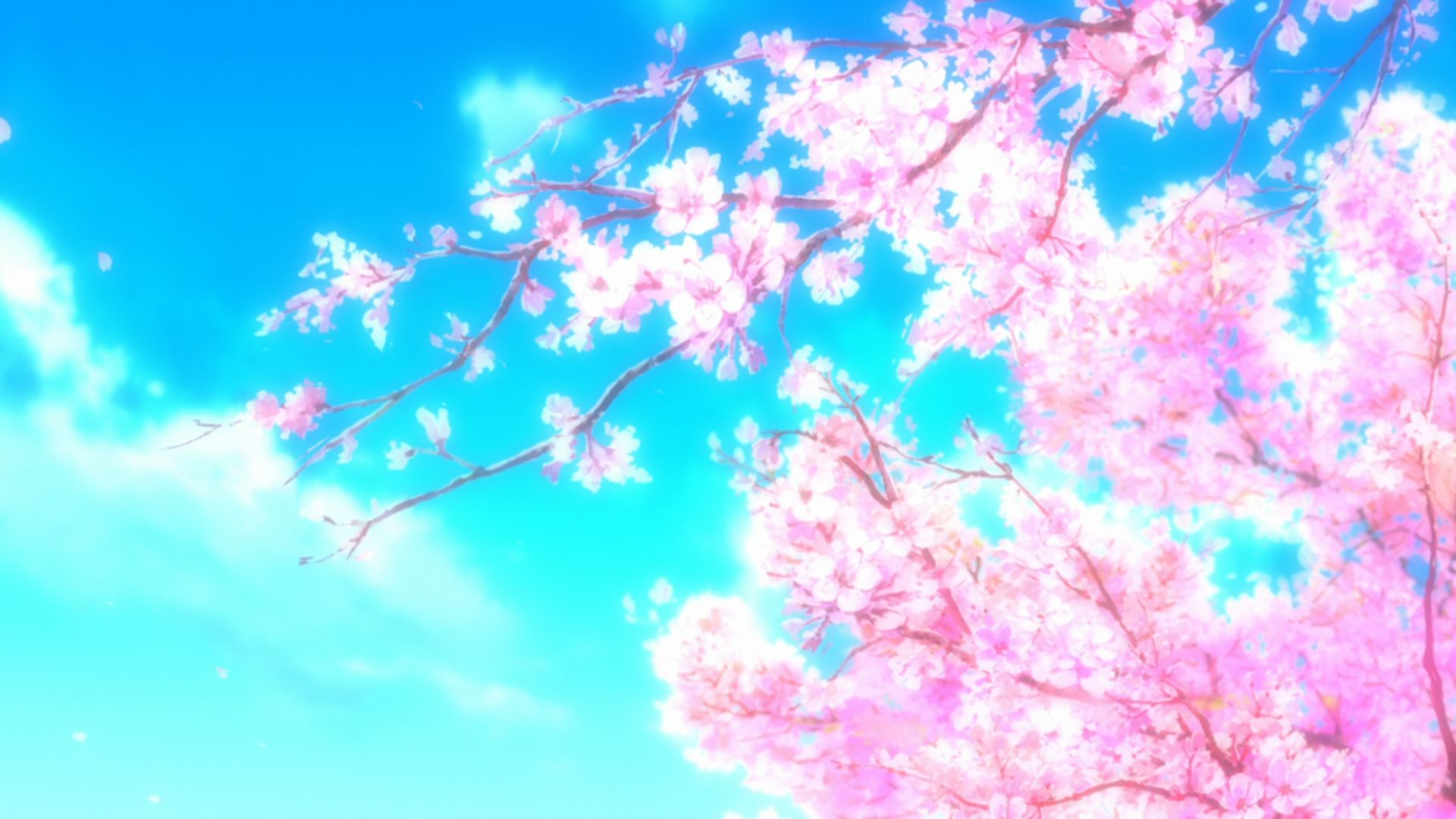 663803 descargar fondo de pantalla flor de cerezo, sakura, animado, hyouka, flor de sakura: protectores de pantalla e imágenes gratis