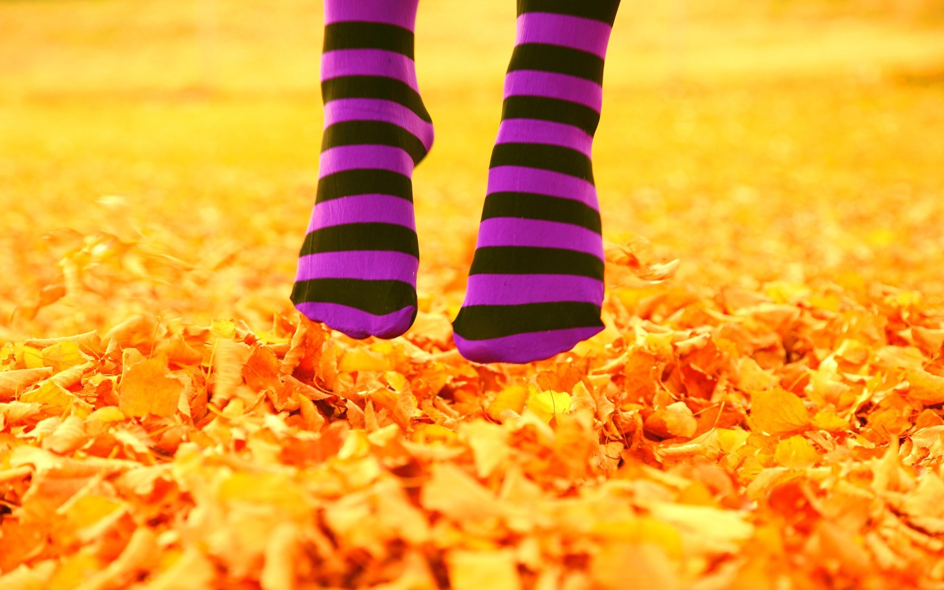 Free download wallpaper Nature, Leaf, Fall, Women, Season, Feet on your PC desktop