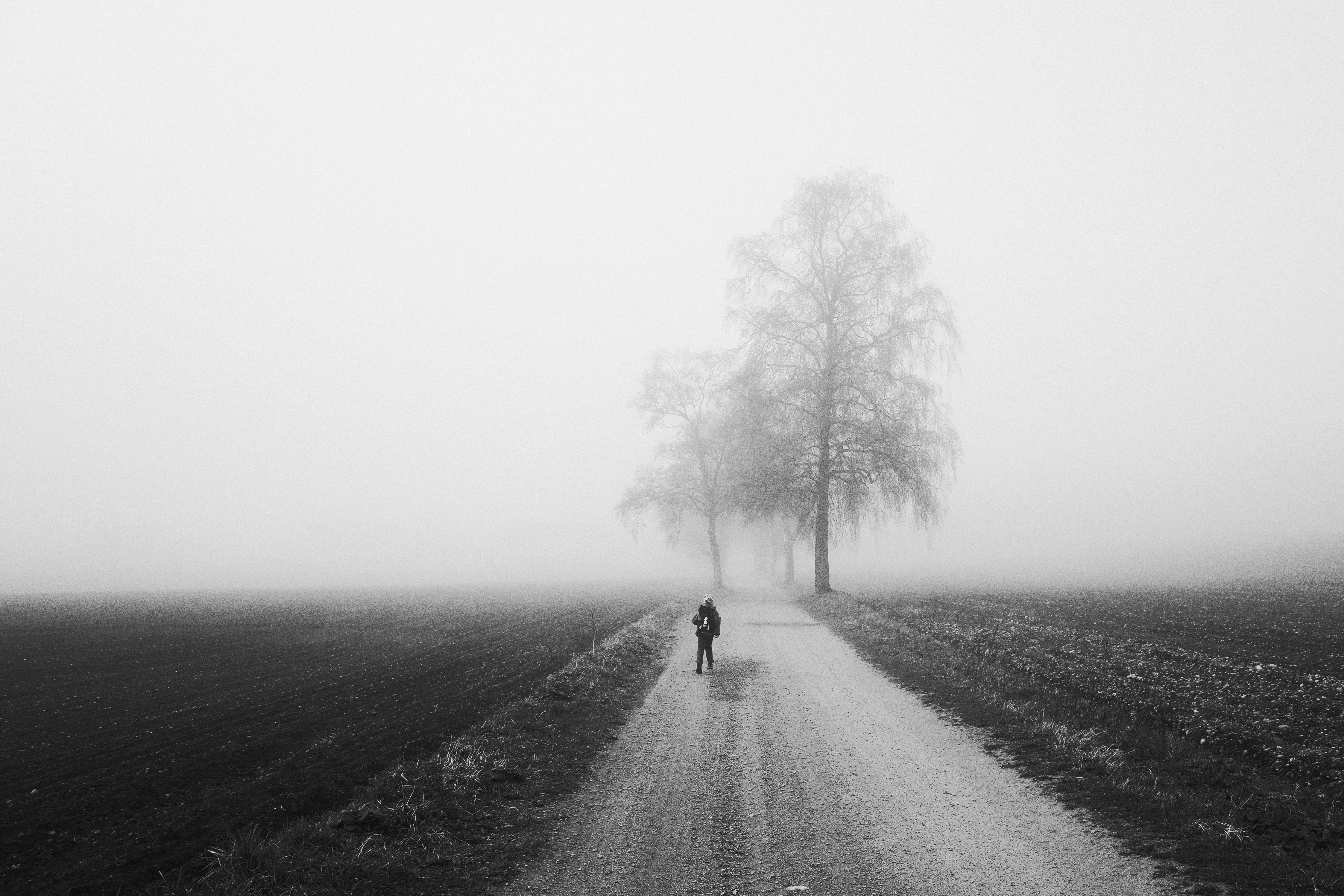 Free download wallpaper Trees, Fog, Bw, Silhouette, Road, Chb, Loneliness, Minimalism on your PC desktop