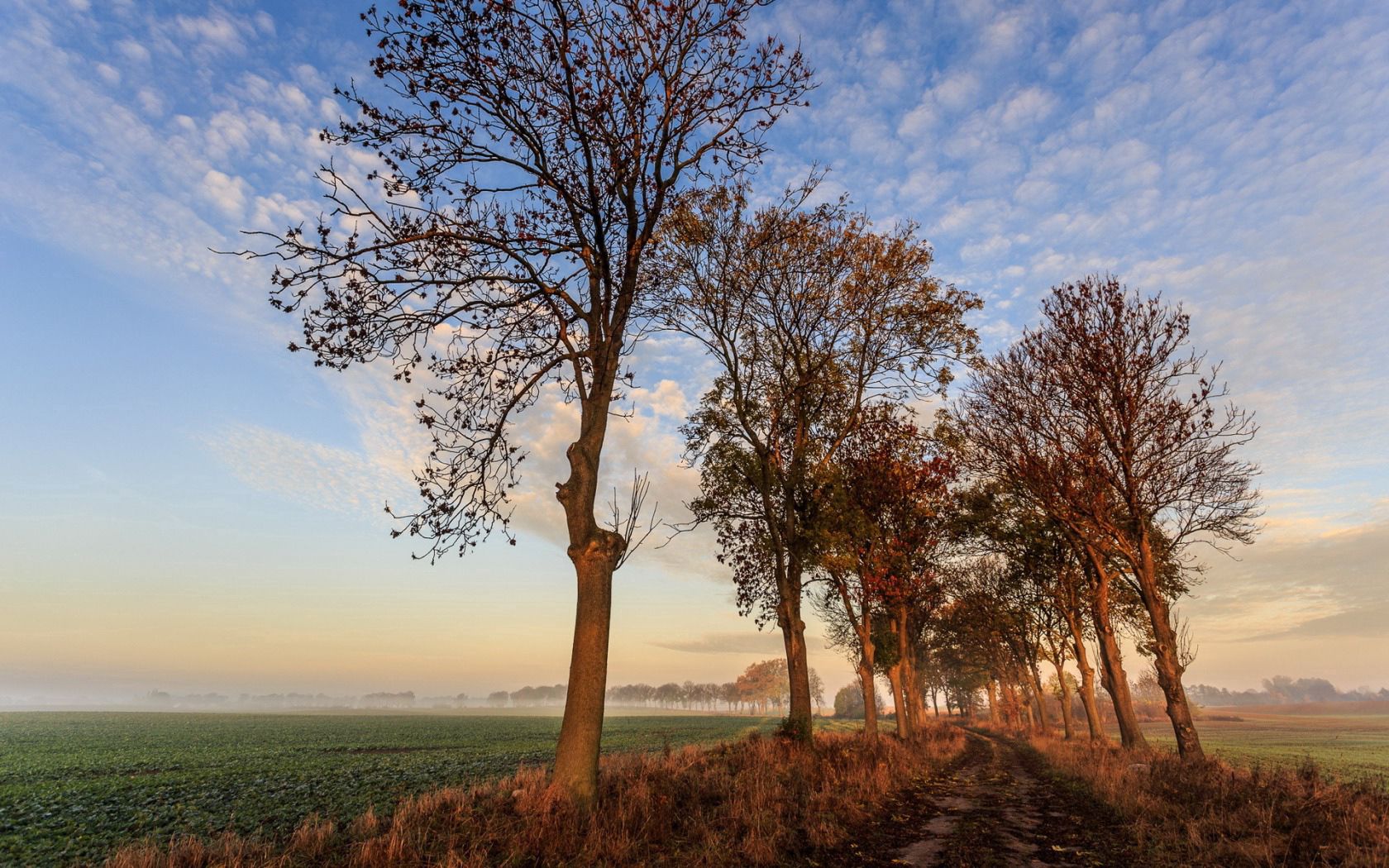 Download mobile wallpaper Trees, Autumn, Path, Sky, Nature for free.