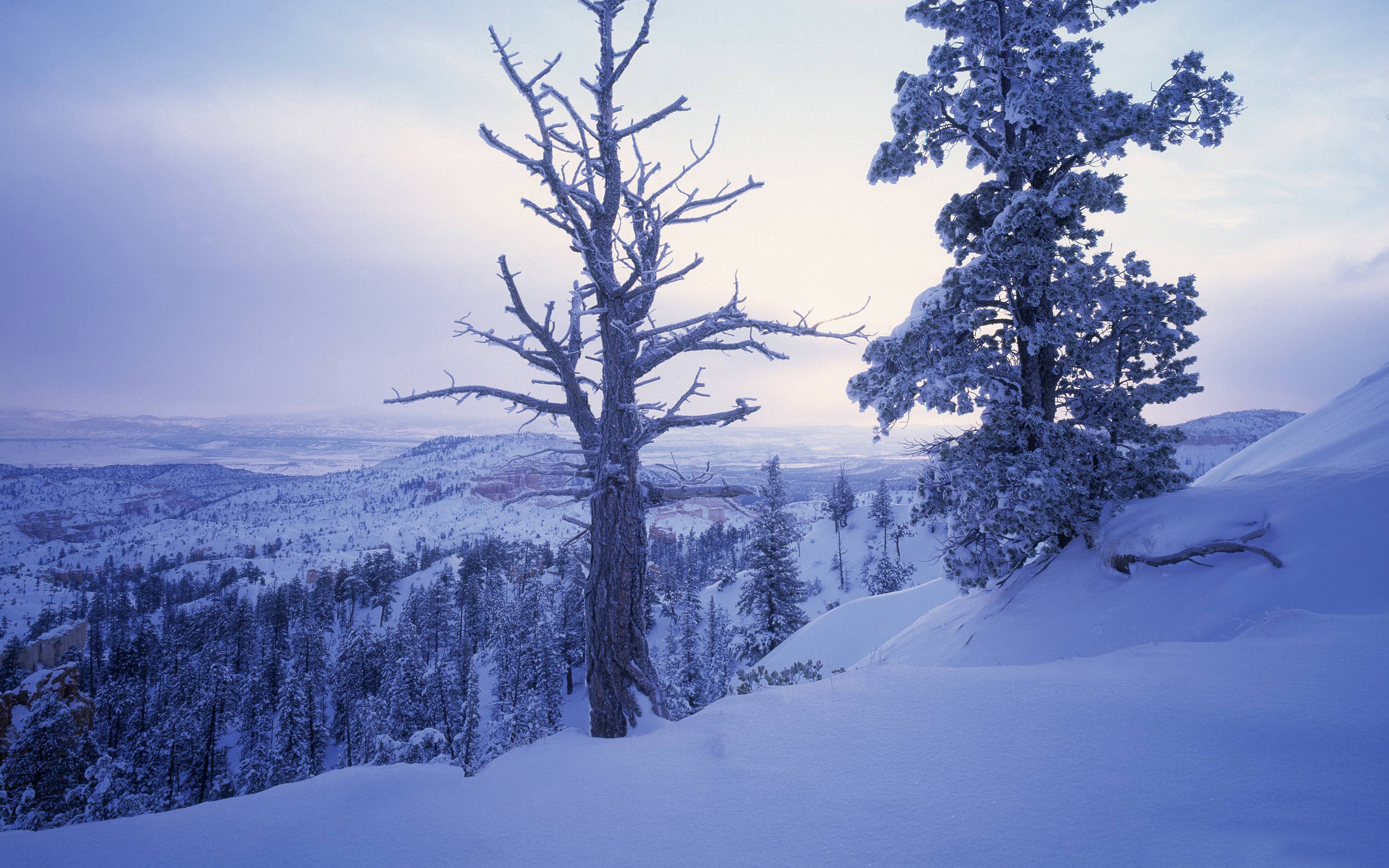 Laden Sie das Winter, Erde/natur-Bild kostenlos auf Ihren PC-Desktop herunter