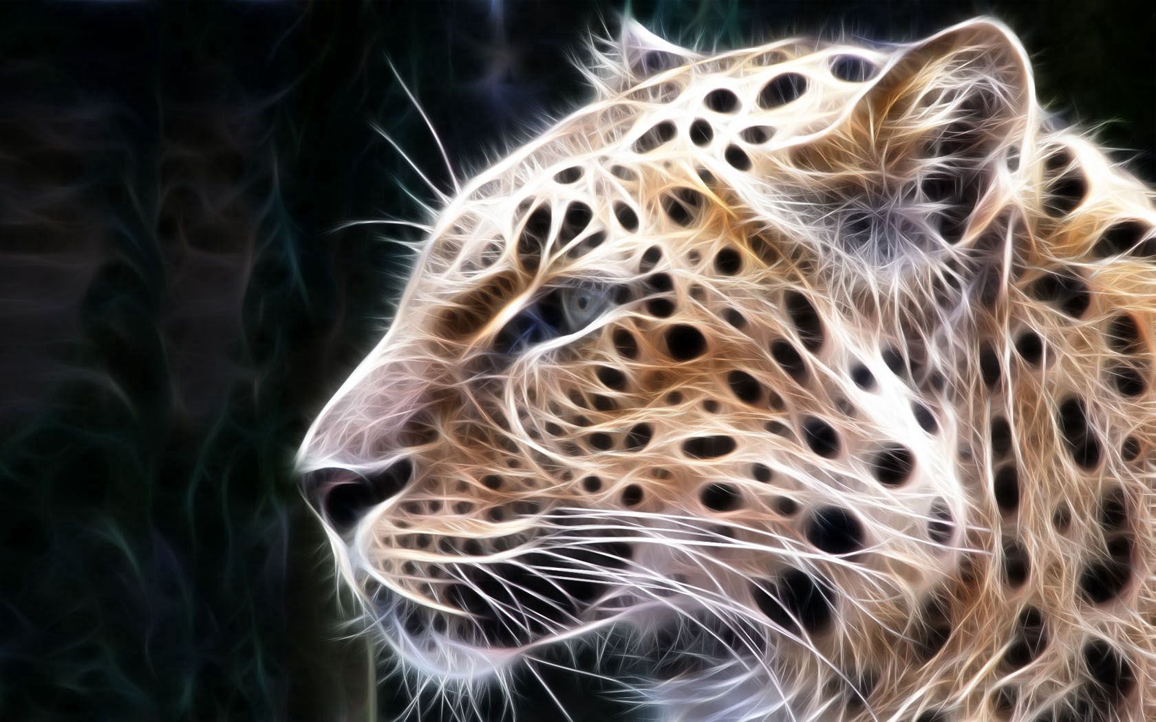 Download mobile wallpaper Leopard, Light, Shine, Glow, Abstract, Lines for free.