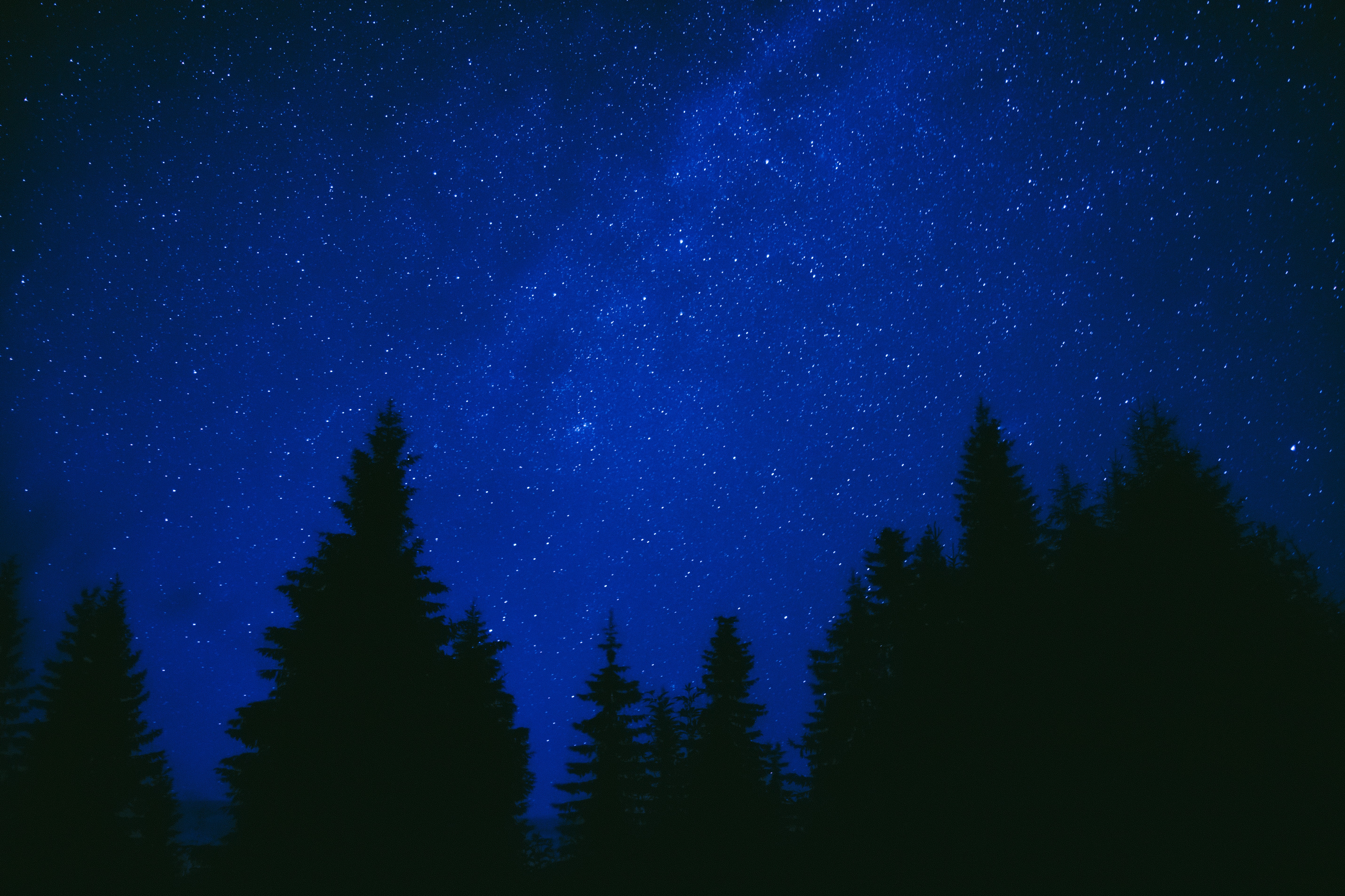 PCデスクトップに木, 闇, 暗い, ナイト, 青い, 星空画像を無料でダウンロード