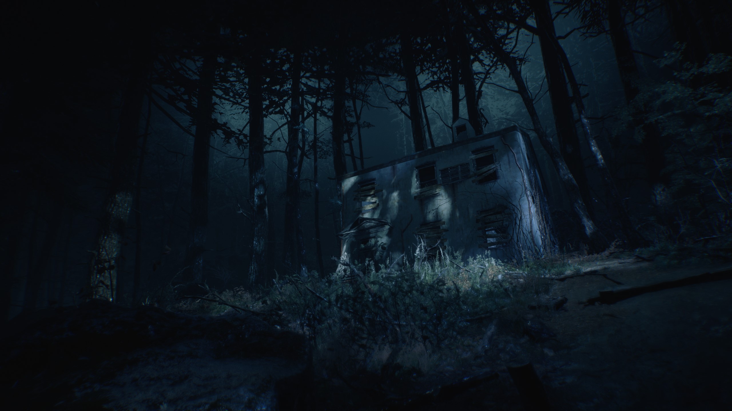 video game, blair witch (video game), forest, house, blair witch