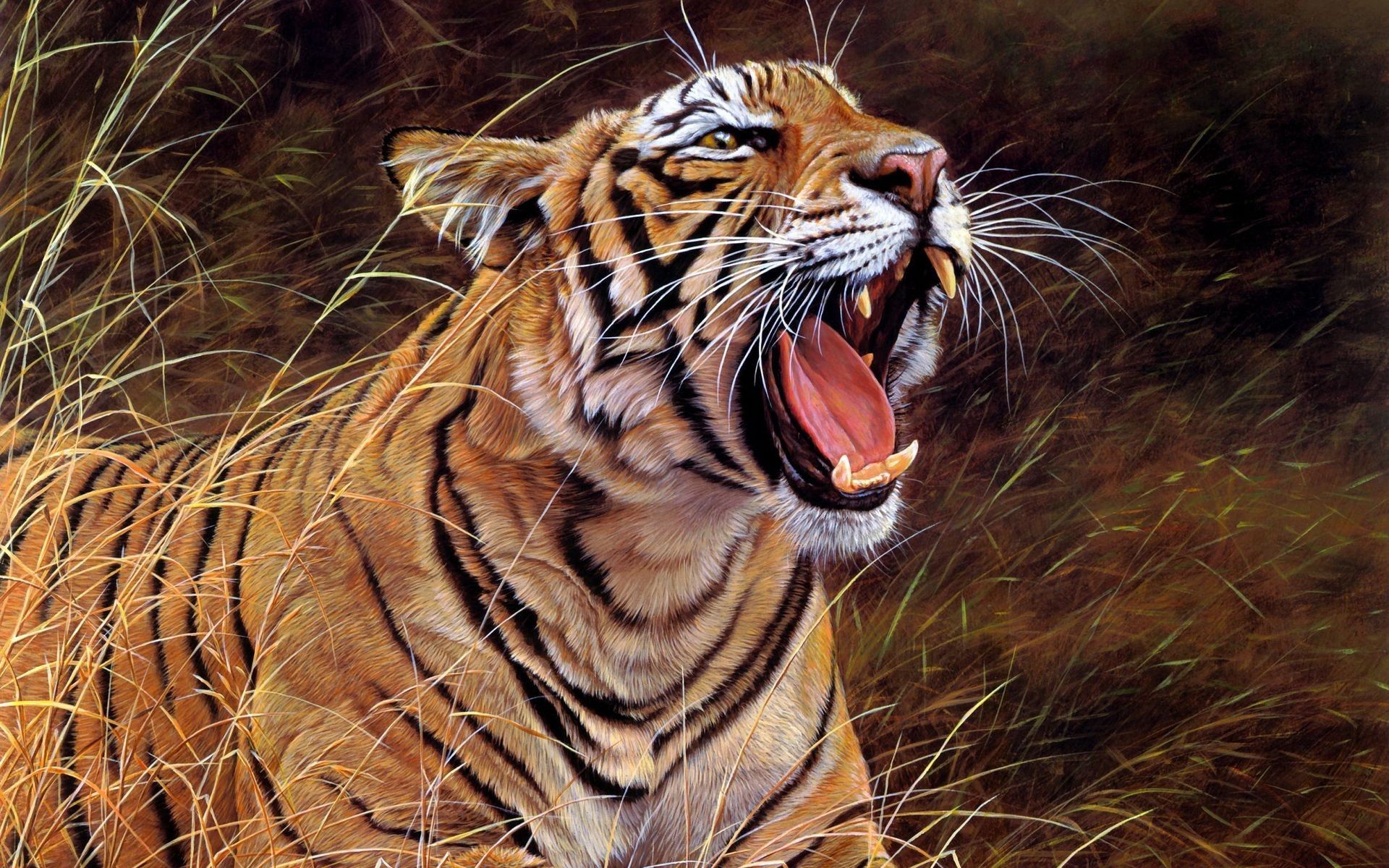 152267 Bild herunterladen tiere, aggression, grinsen, grin, große katze, big cat, tiger - Hintergrundbilder und Bildschirmschoner kostenlos