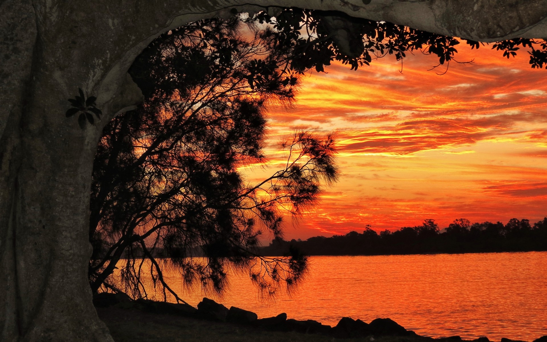 Free download wallpaper Sunset, Sky, Lake, Silhouette, Tree, Earth, Orange (Color) on your PC desktop