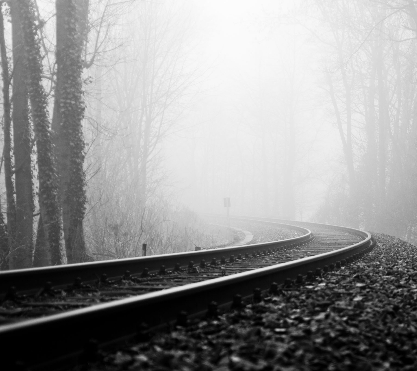 Laden Sie das Nebel, Eisenbahn, Schwarz Weiß, Fotografie-Bild kostenlos auf Ihren PC-Desktop herunter
