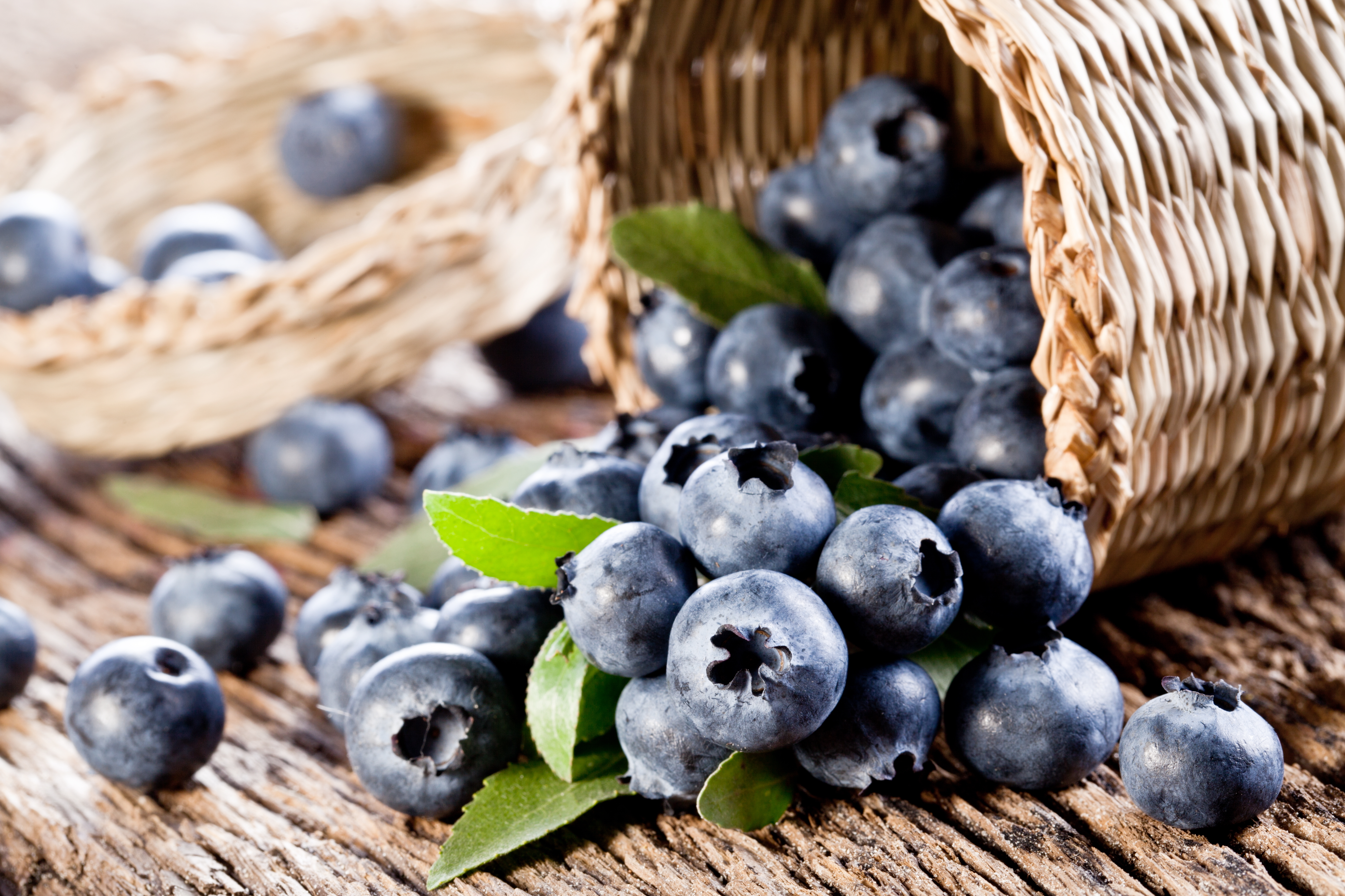 Free download wallpaper Food, Blueberry on your PC desktop