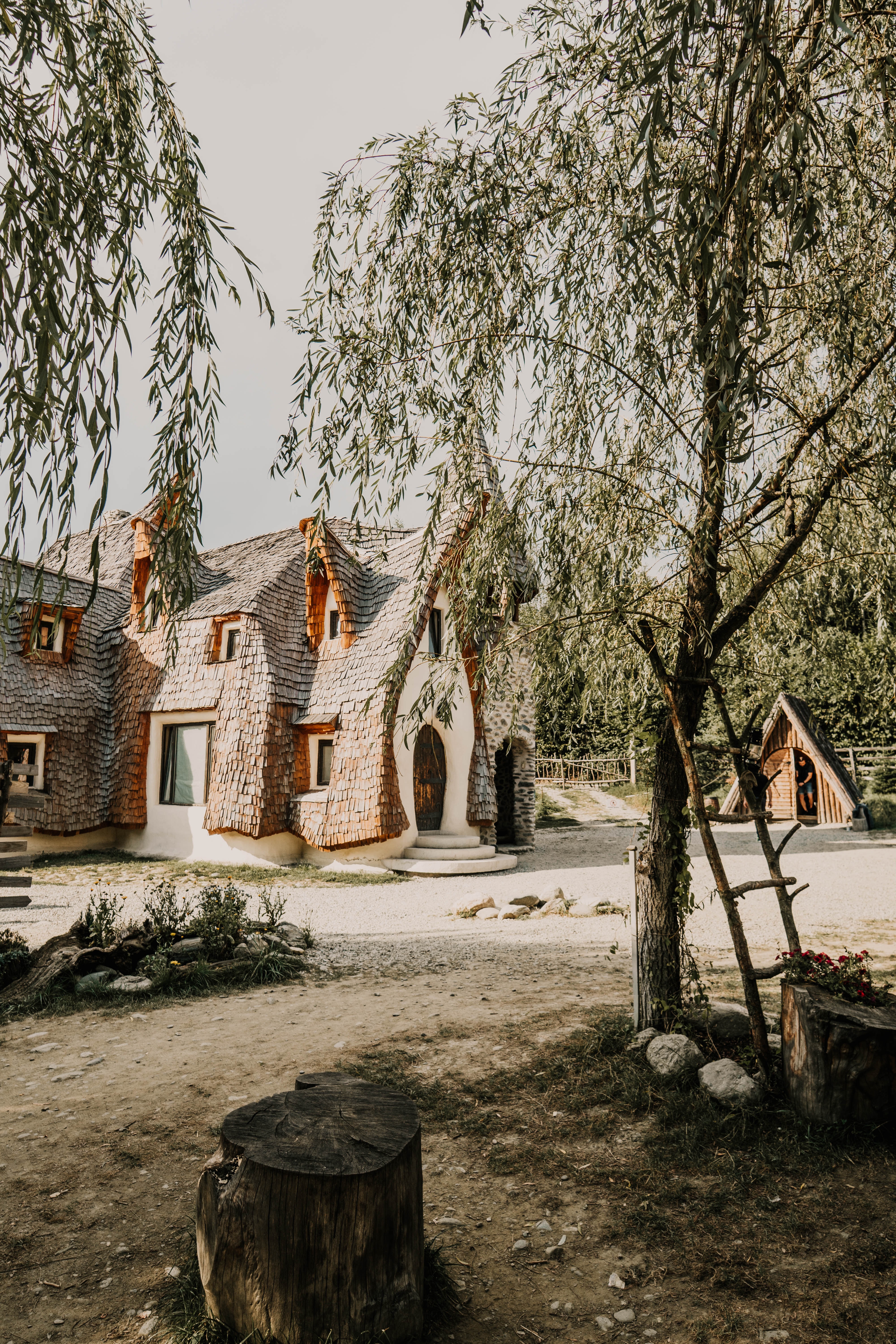 trees, architecture, building, miscellanea, miscellaneous, house, willow, and you