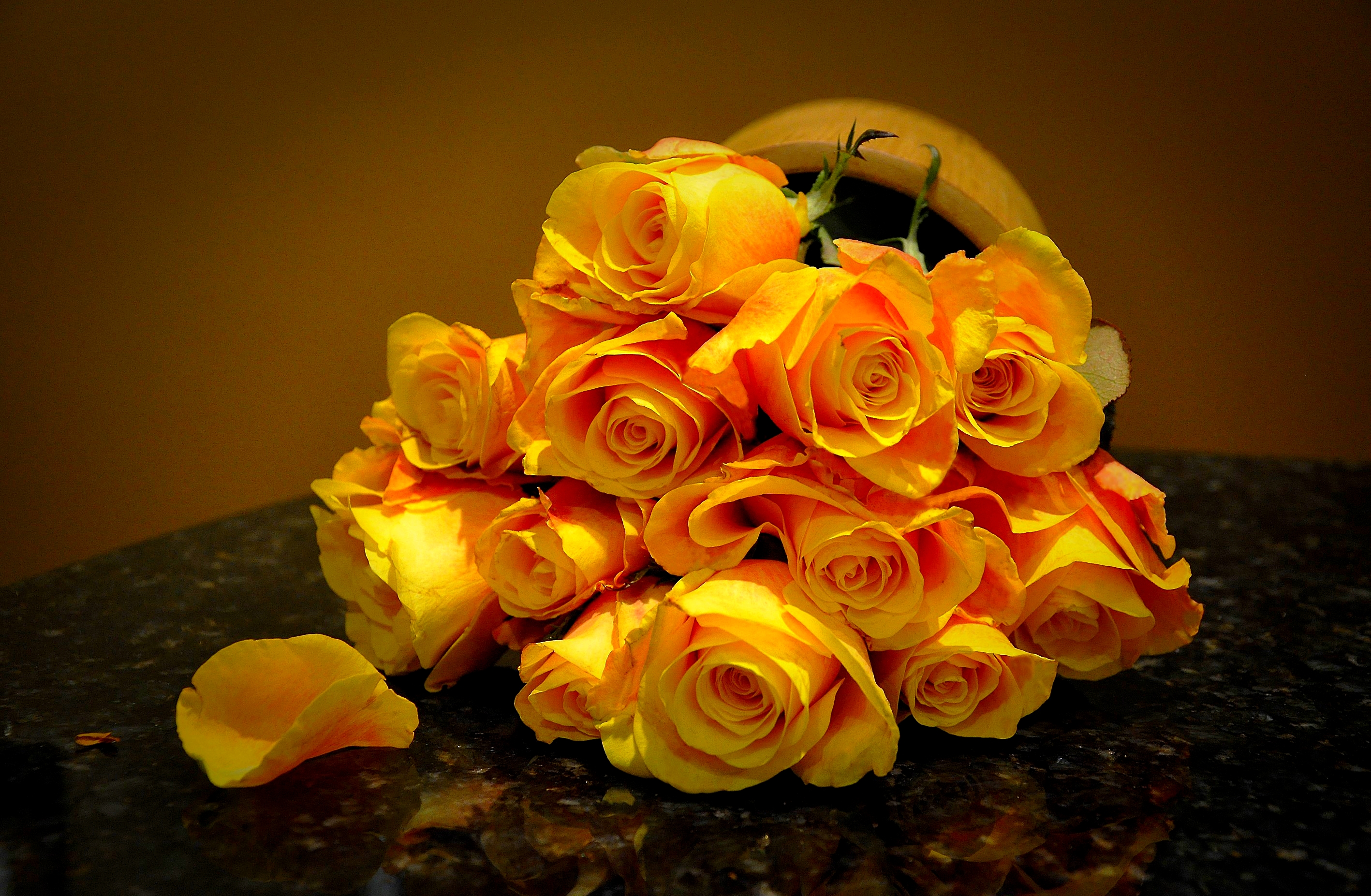 earth, rose, flower, still life, yellow flower, yellow rose, flowers