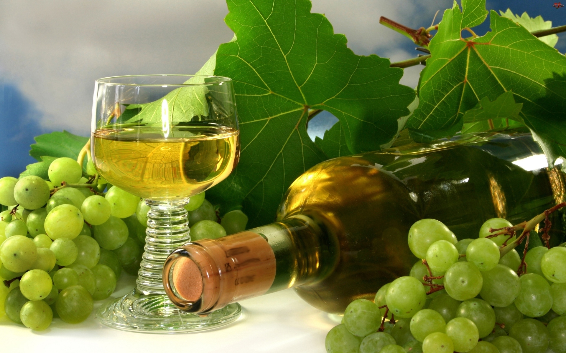 Free download wallpaper Food, Wine on your PC desktop