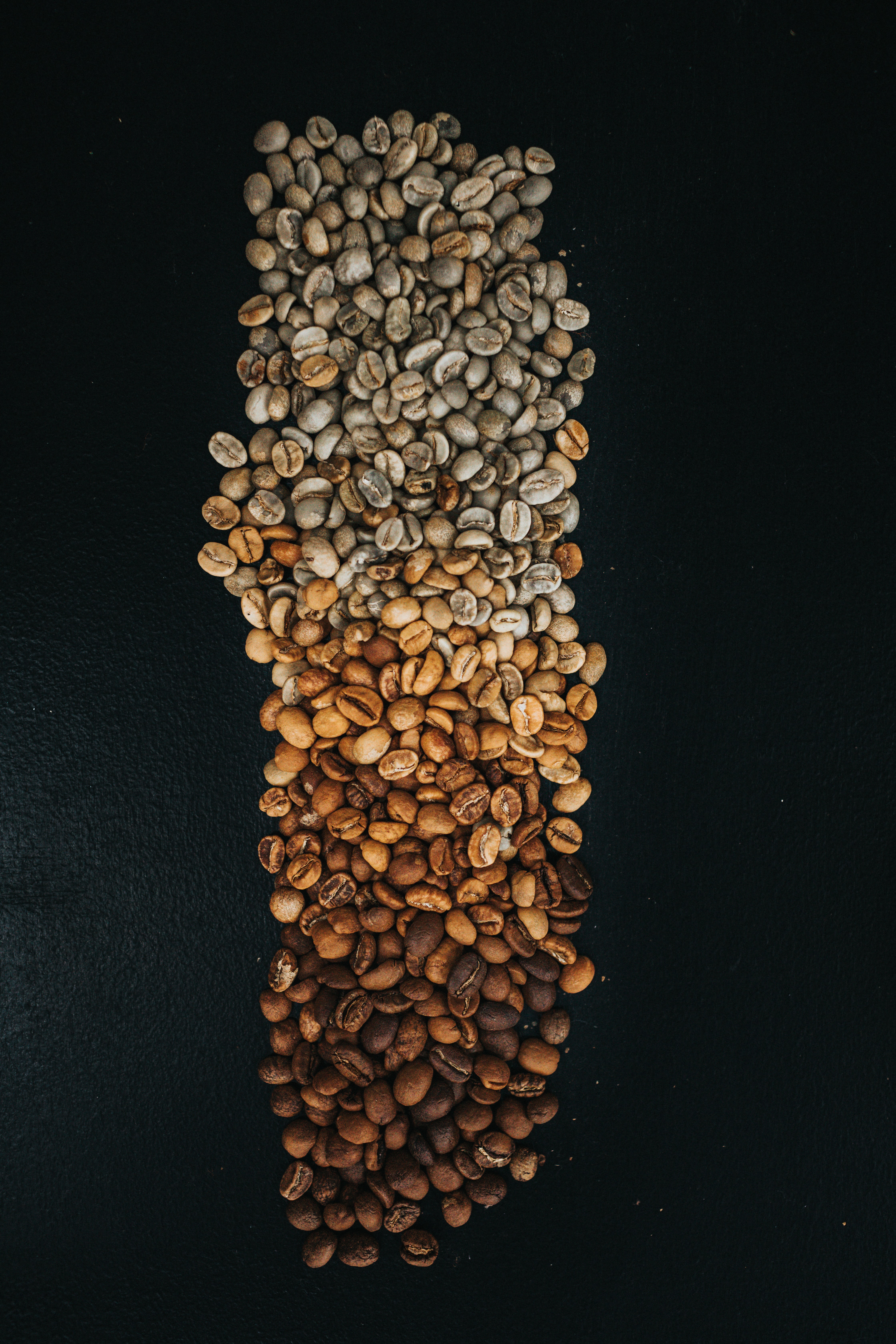 coffee beans, coffee, food, brown, gradient, grains, grain Full HD