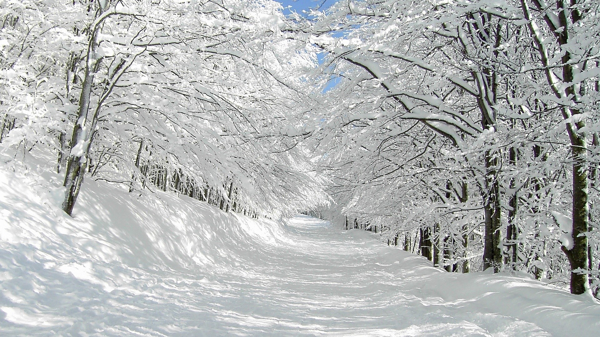 Téléchargez gratuitement l'image Hiver, Terre/nature sur le bureau de votre PC