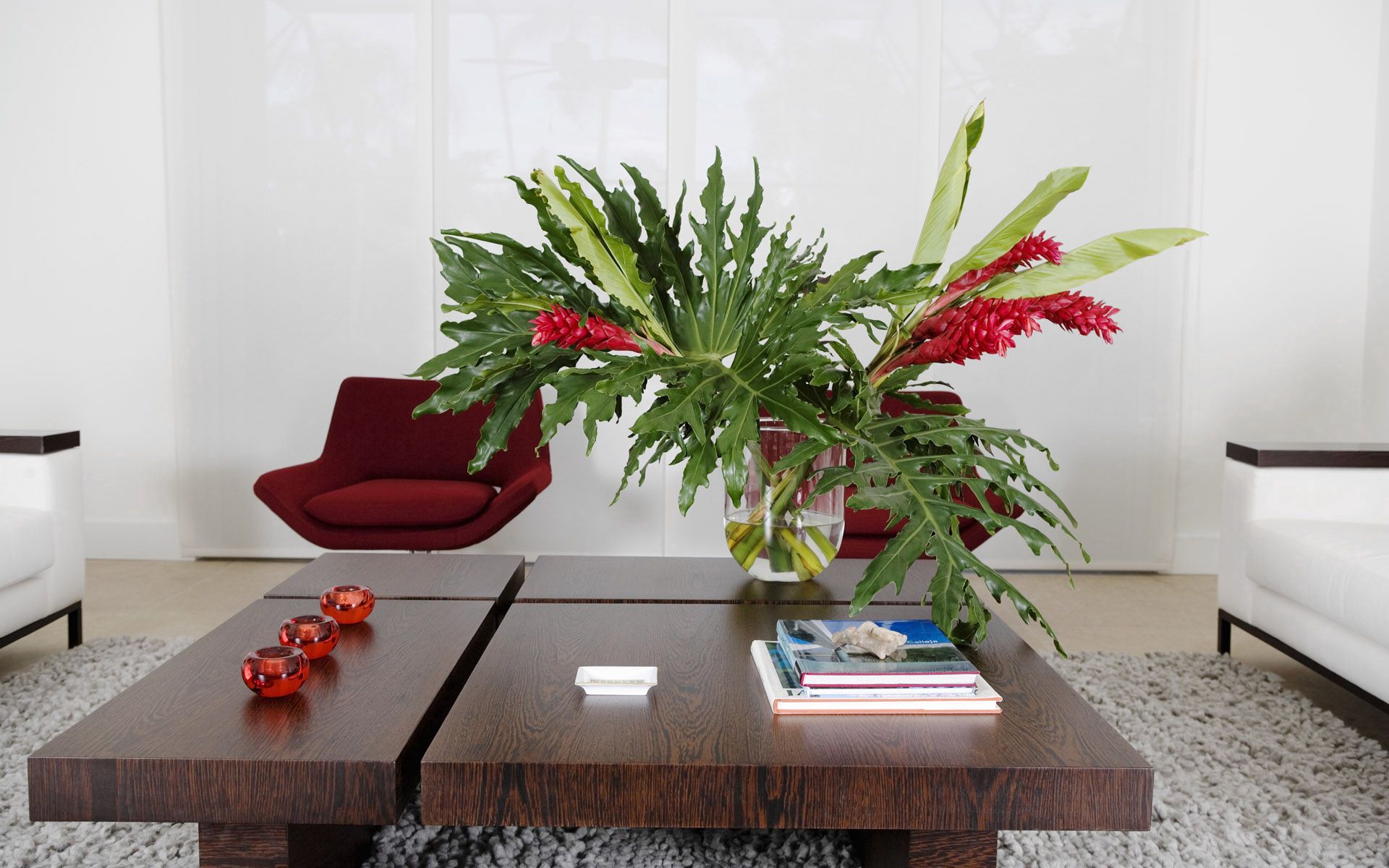 plant, miscellanea, miscellaneous, table, furniture, coziness, comfort