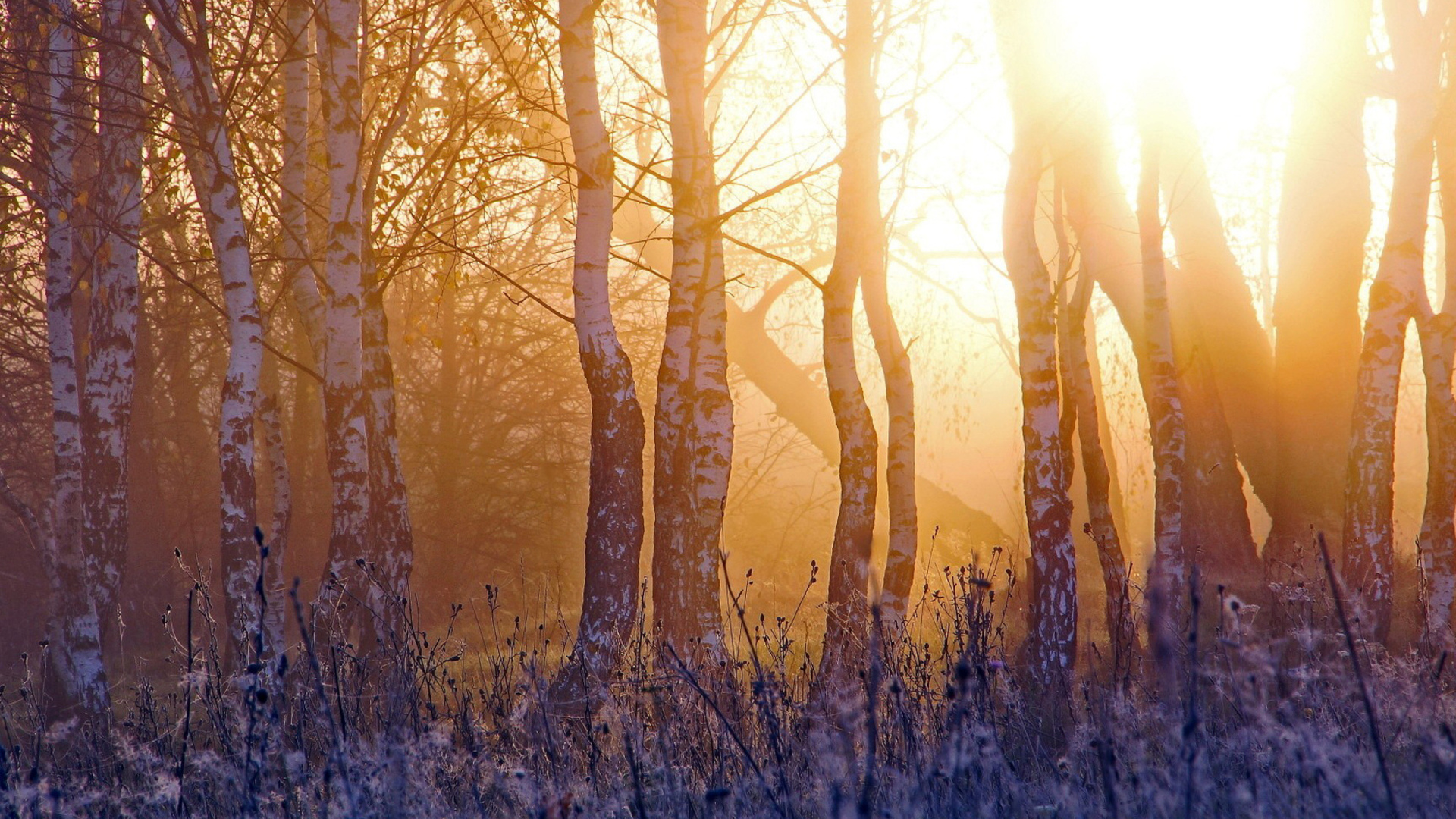 Handy-Wallpaper Sonnenstrahl, Erde/natur kostenlos herunterladen.