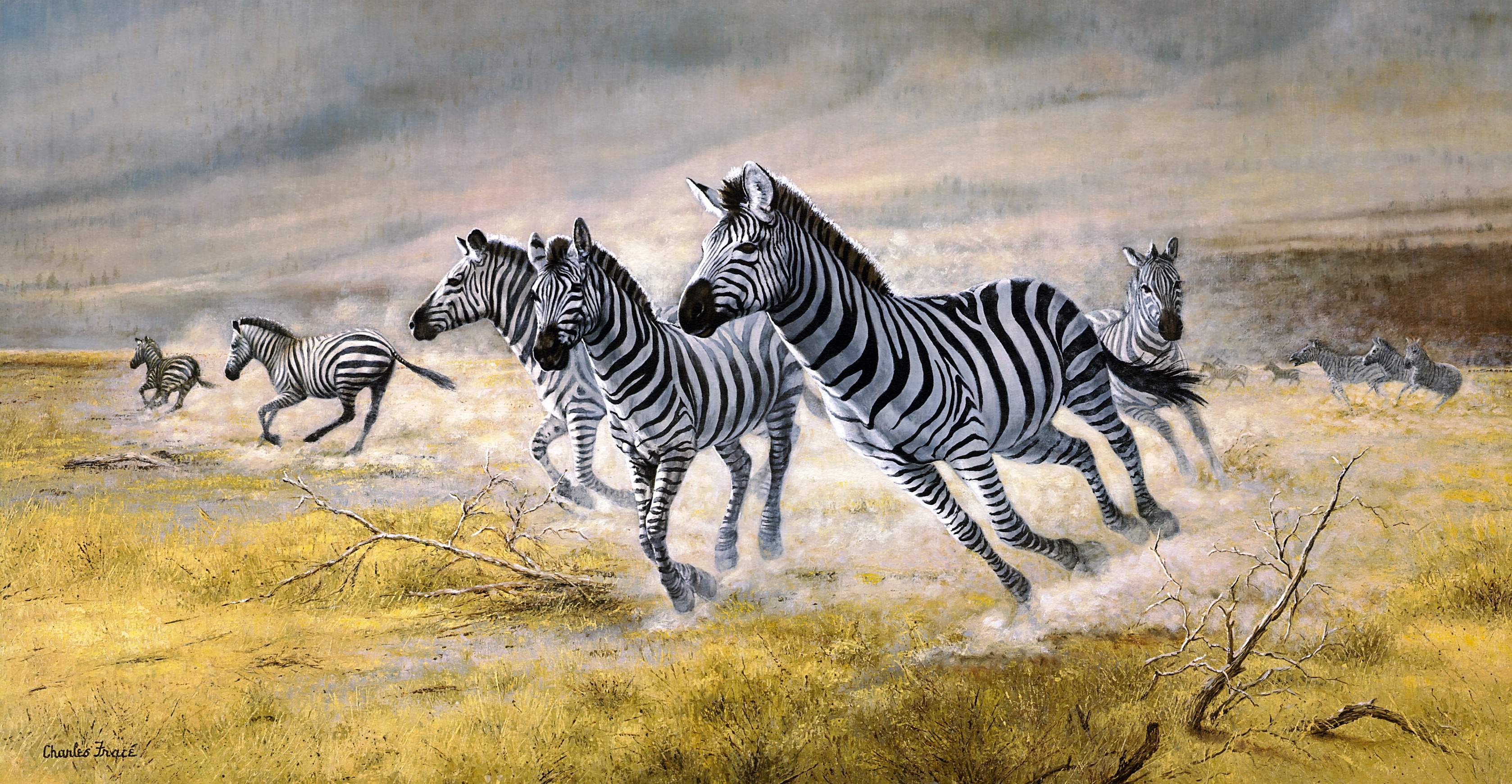 Laden Sie das Tiere, Malerei, Zebra-Bild kostenlos auf Ihren PC-Desktop herunter