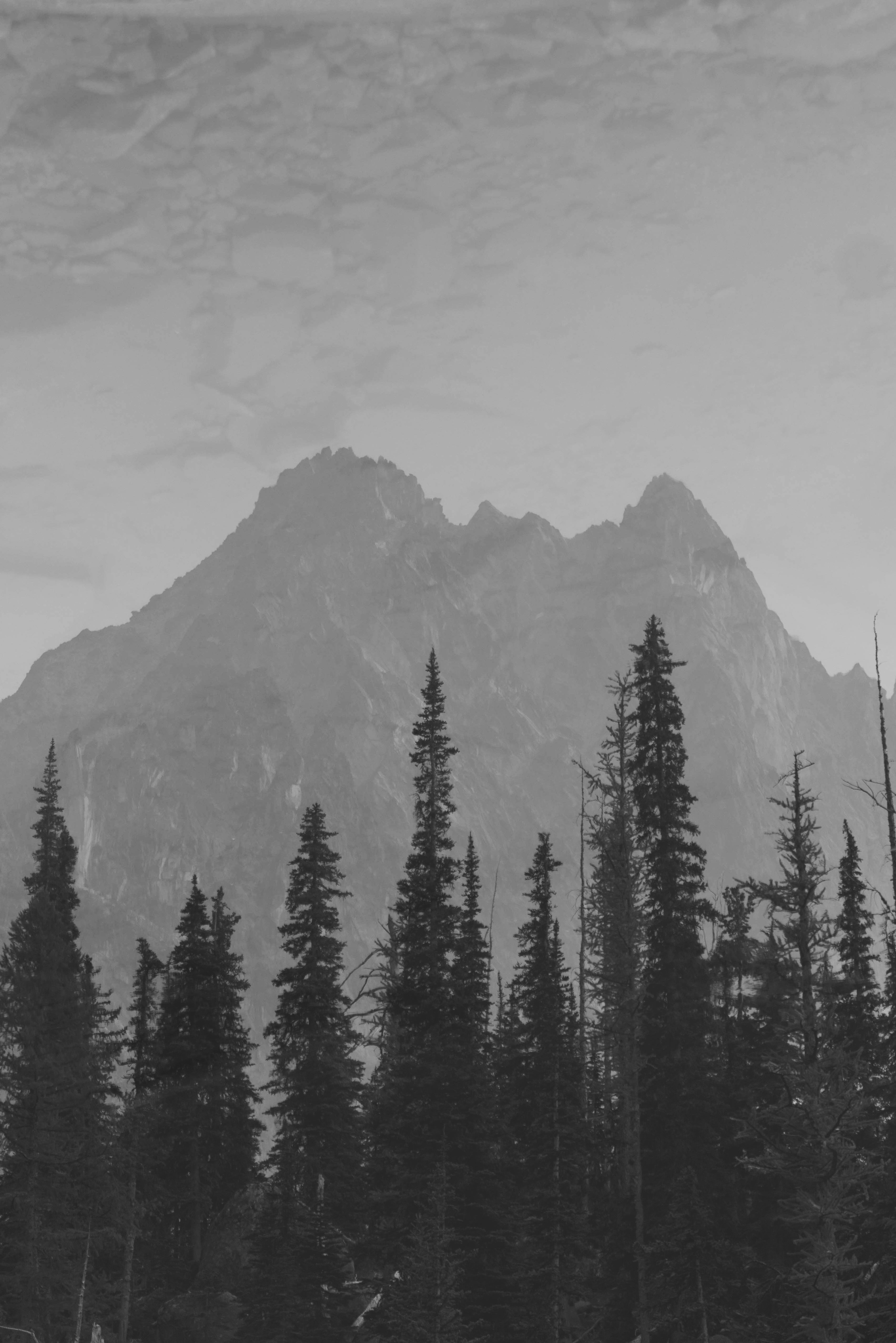 Free download wallpaper Trees, Mountains, Vertex, Spruce, Fir, Tops, Nature, Darkness on your PC desktop