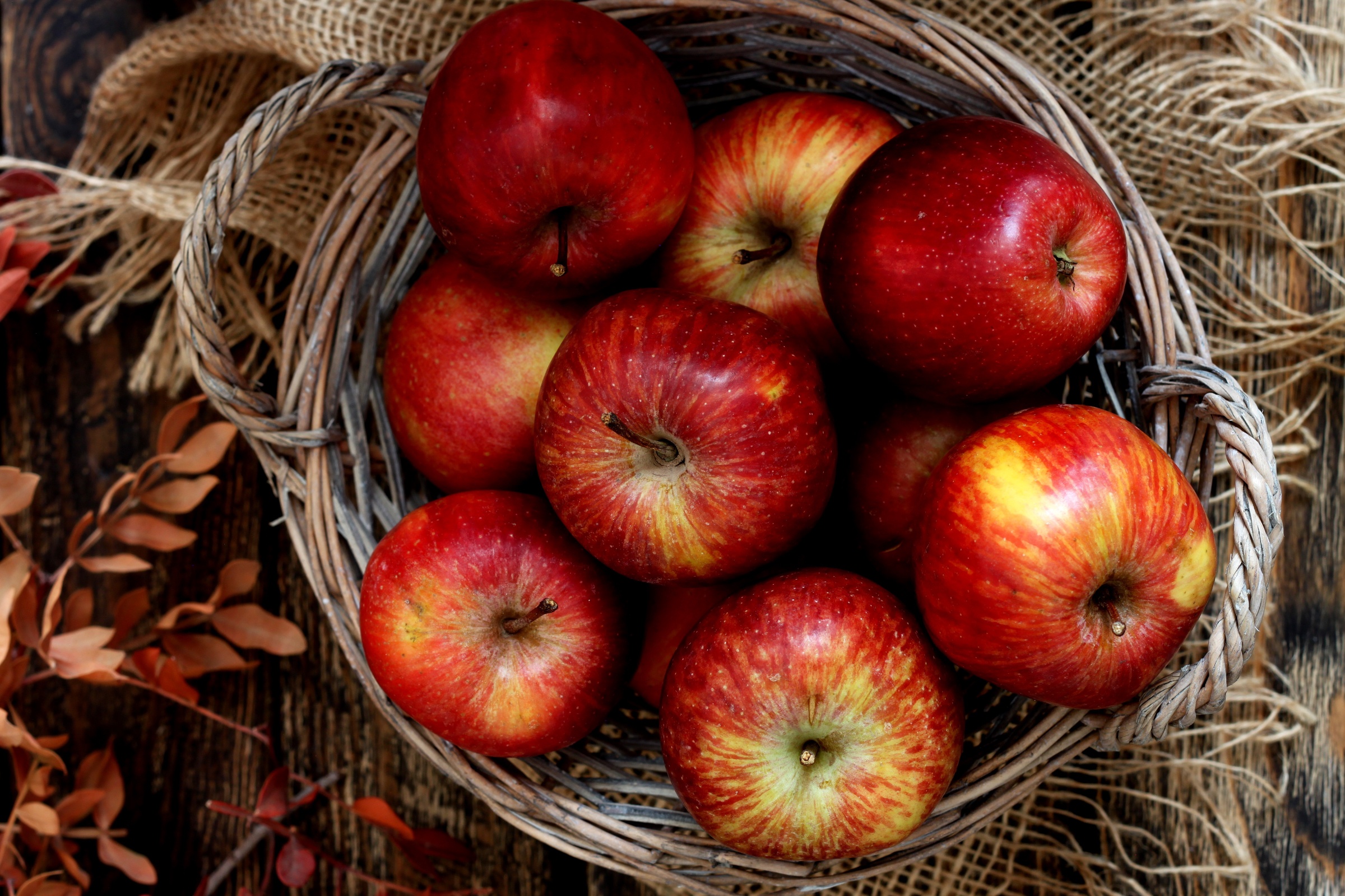 無料モバイル壁紙フルーツ, アップル, 秋, 静物, 果物, 食べ物をダウンロードします。