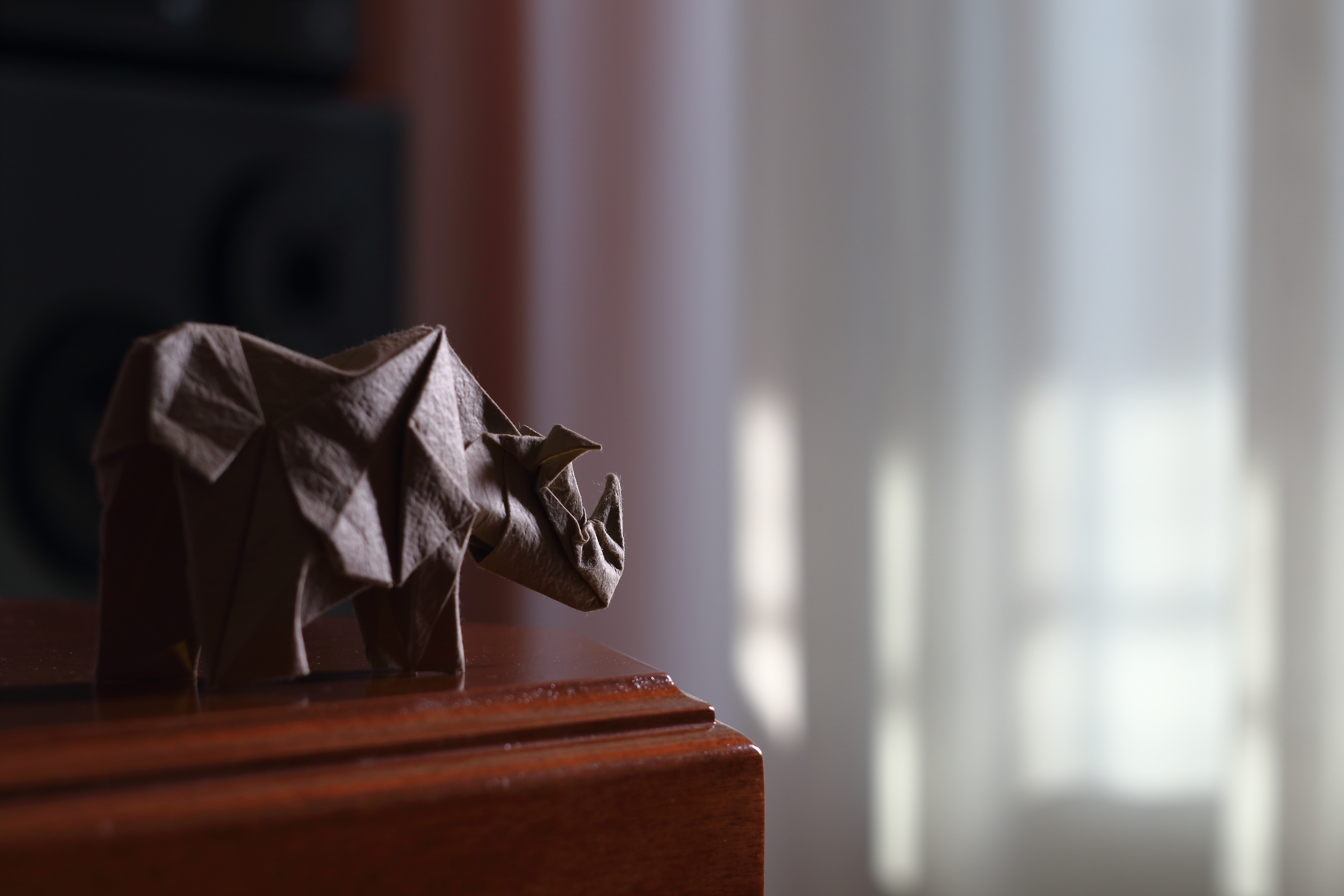 Téléchargez des papiers peints mobile Rhinocéros, Origami, Construction Humaine gratuitement.
