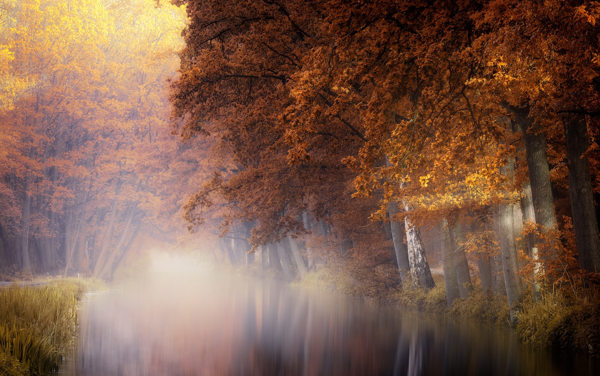 Download mobile wallpaper Nature, Fog, Fall, Earth, River for free.