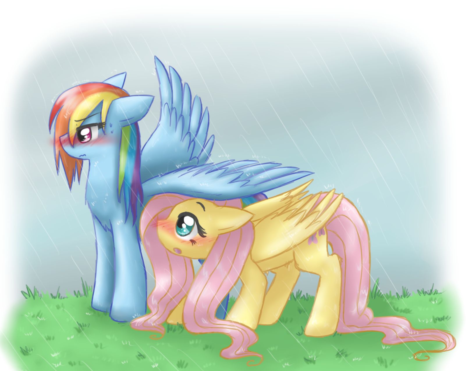 Laden Sie das Mein Kleines Pony, Fernsehserien, My Little Pony Freundschaft Ist Magie, Rainbow Dash, Fluttershy (Mein Kleines Pony)-Bild kostenlos auf Ihren PC-Desktop herunter