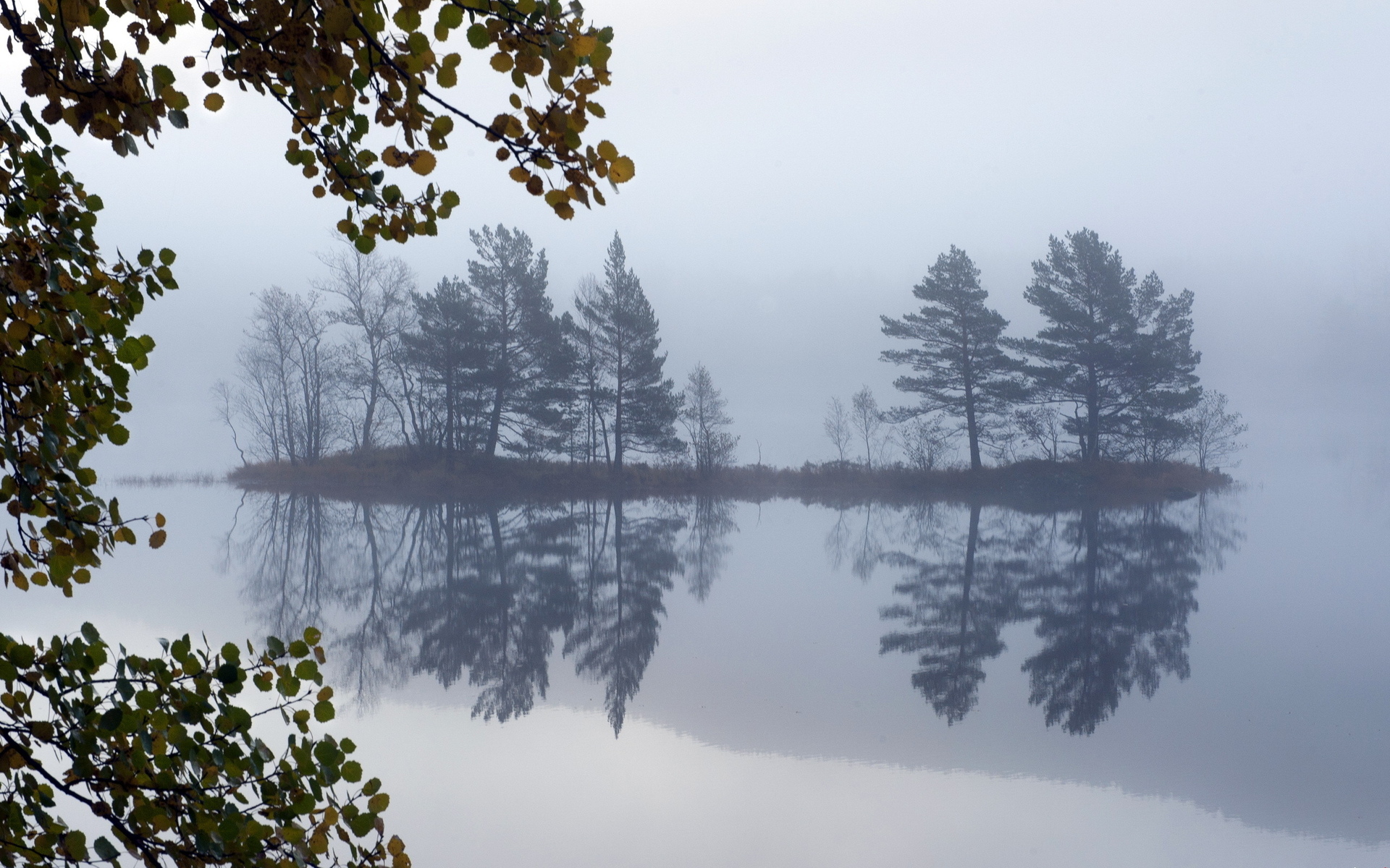 Laden Sie das Herbst, See, Nebel, Insel, Szene, Erde/natur, Spiegelung-Bild kostenlos auf Ihren PC-Desktop herunter