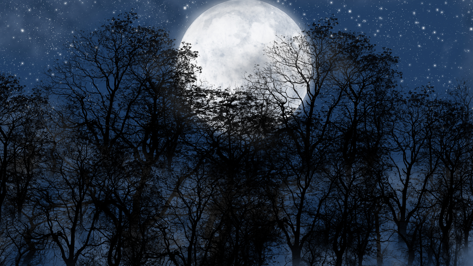 Скачать обои бесплатно Ночь, Луна, Силуэт, Лес, Дерево, Звездное Небо, Синий, Фантазия, Художественные картинка на рабочий стол ПК