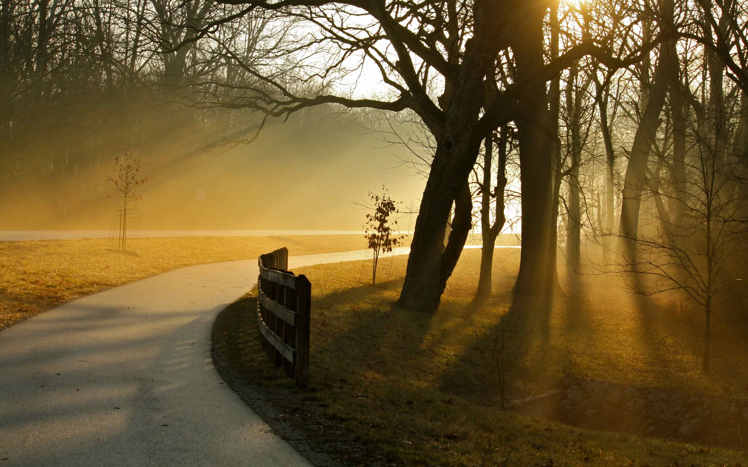 Free download wallpaper Fog, Fence, Photography, Sunbeam on your PC desktop