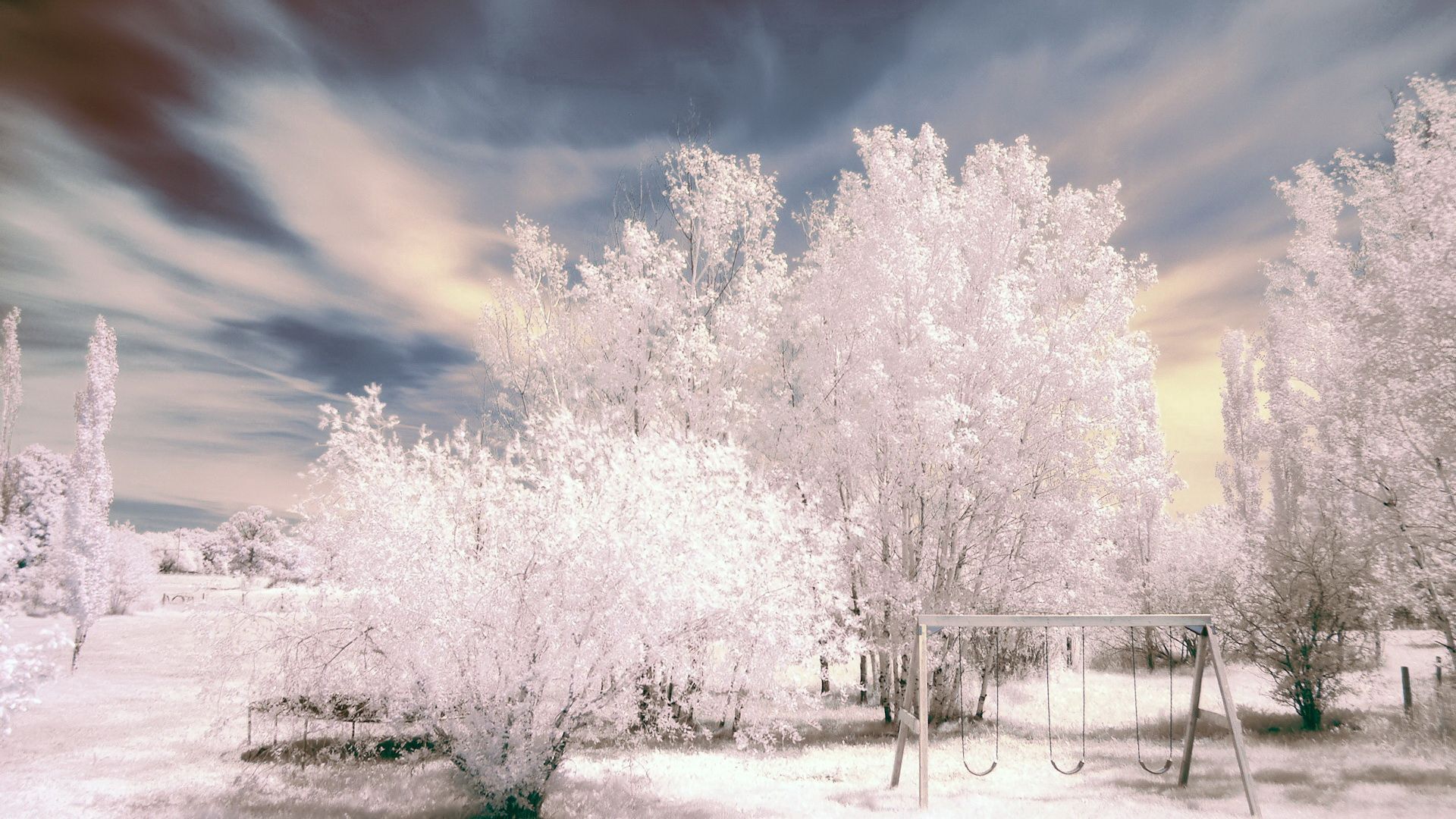 PCデスクトップに冬, 自然, 木, 雪, 公園, 霜, 振る, スイング画像を無料でダウンロード