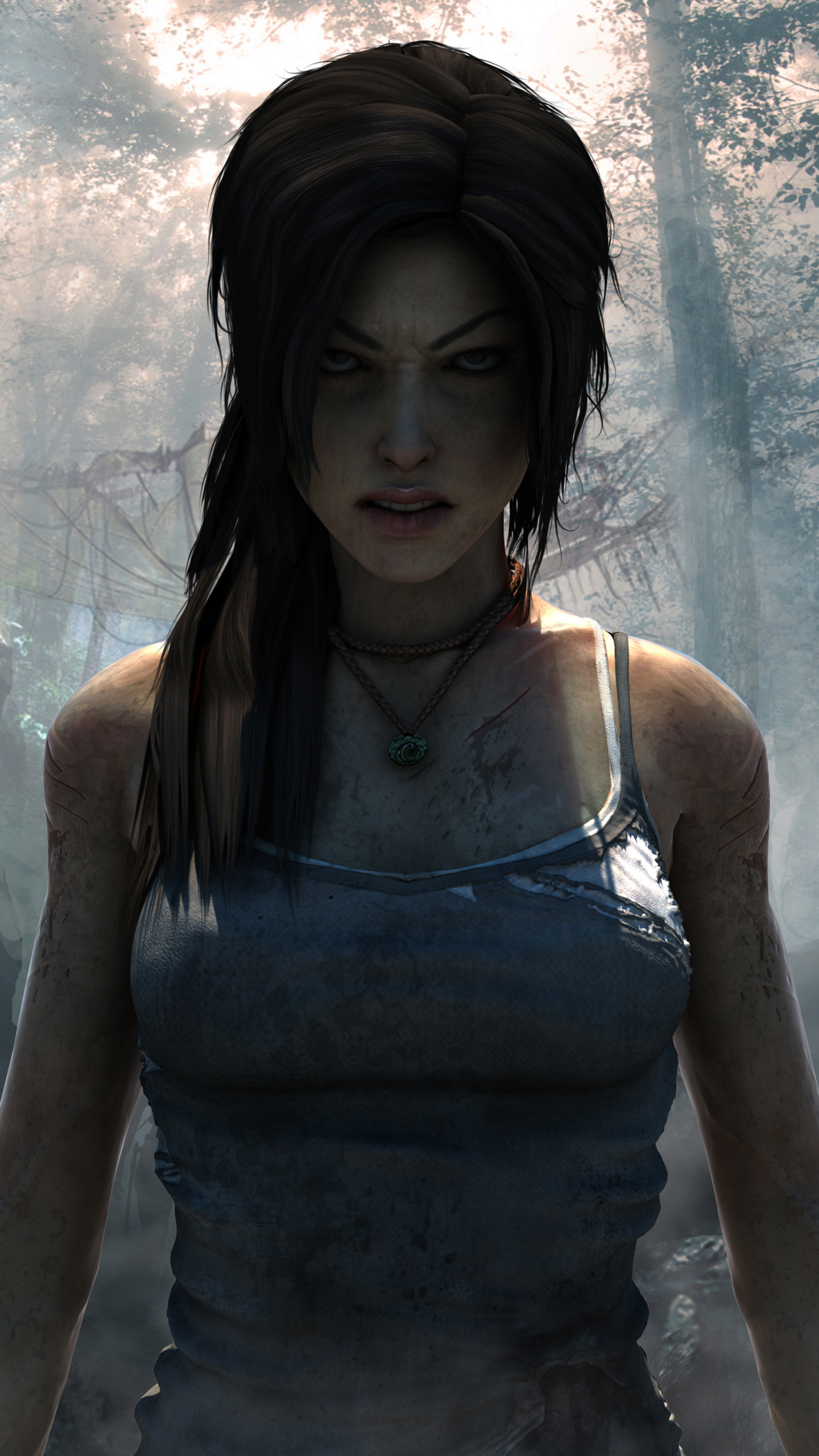 Téléchargez des papiers peints mobile Tomb Raider, Jeux Vidéo, Tomb Raider (2013) gratuitement.