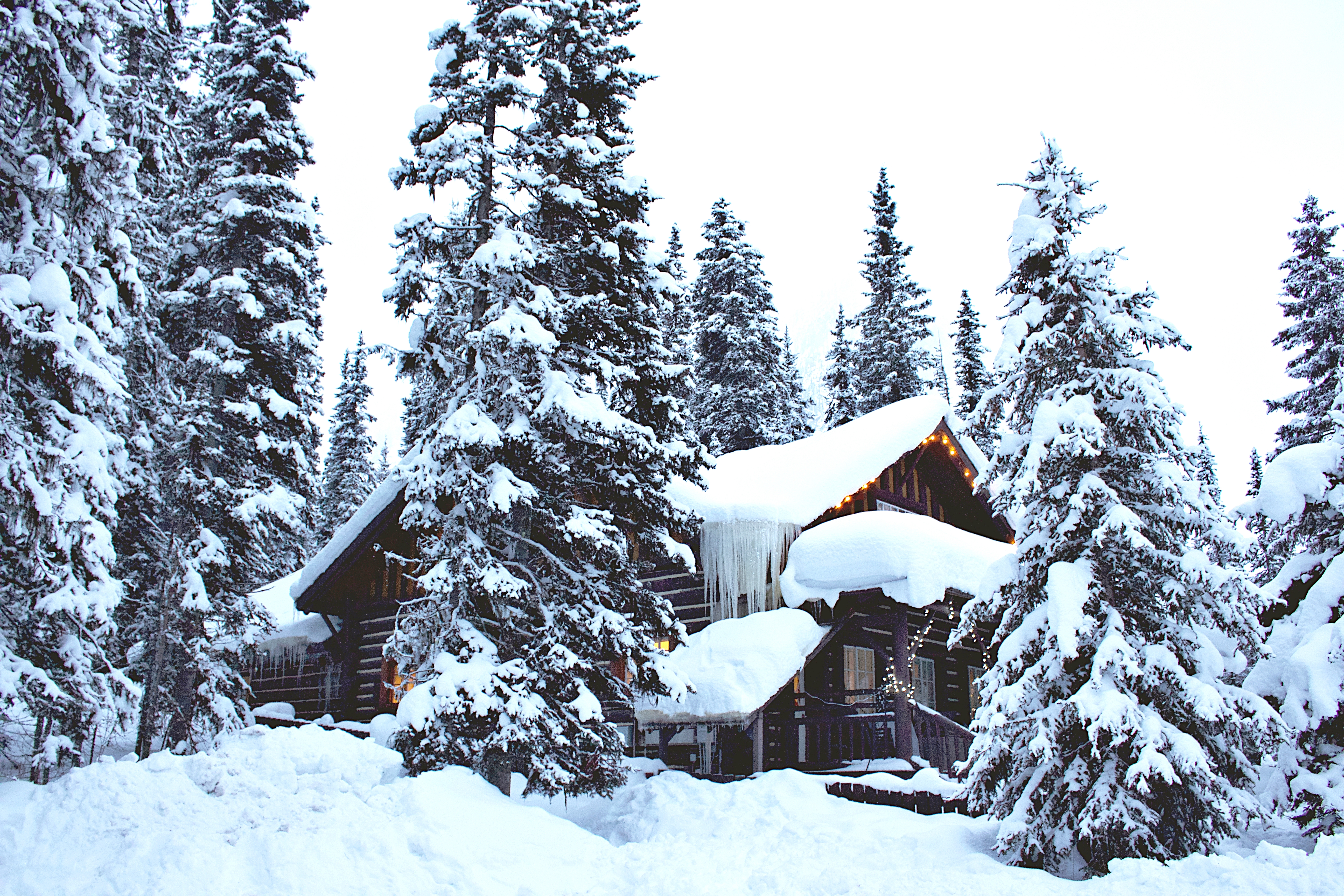 Laden Sie das Haus, Wald, Natur, Schnee, Winter-Bild kostenlos auf Ihren PC-Desktop herunter