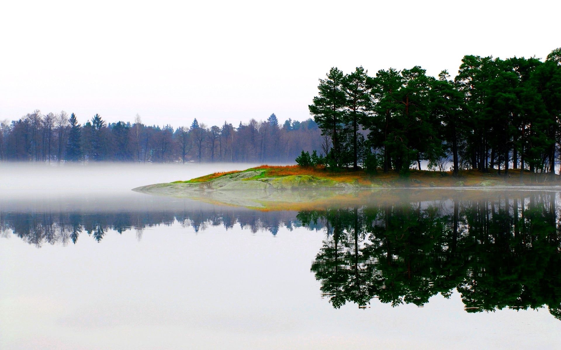 landscape, nature, trees, lake, fog, morning, island, islet Full HD