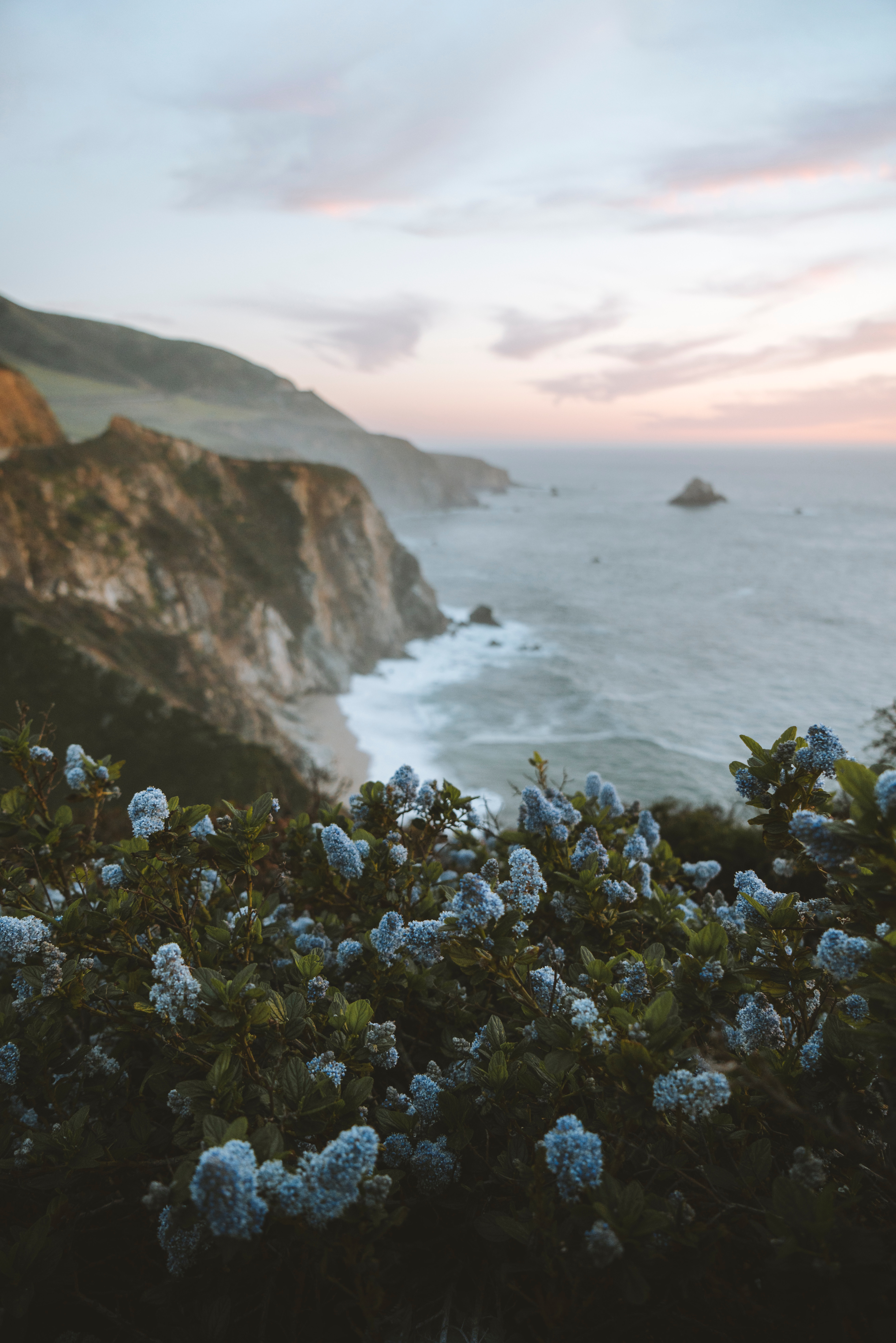 97891 скачать картинку побережье, сирень, природа, цветы, море, скалы - обои и заставки бесплатно