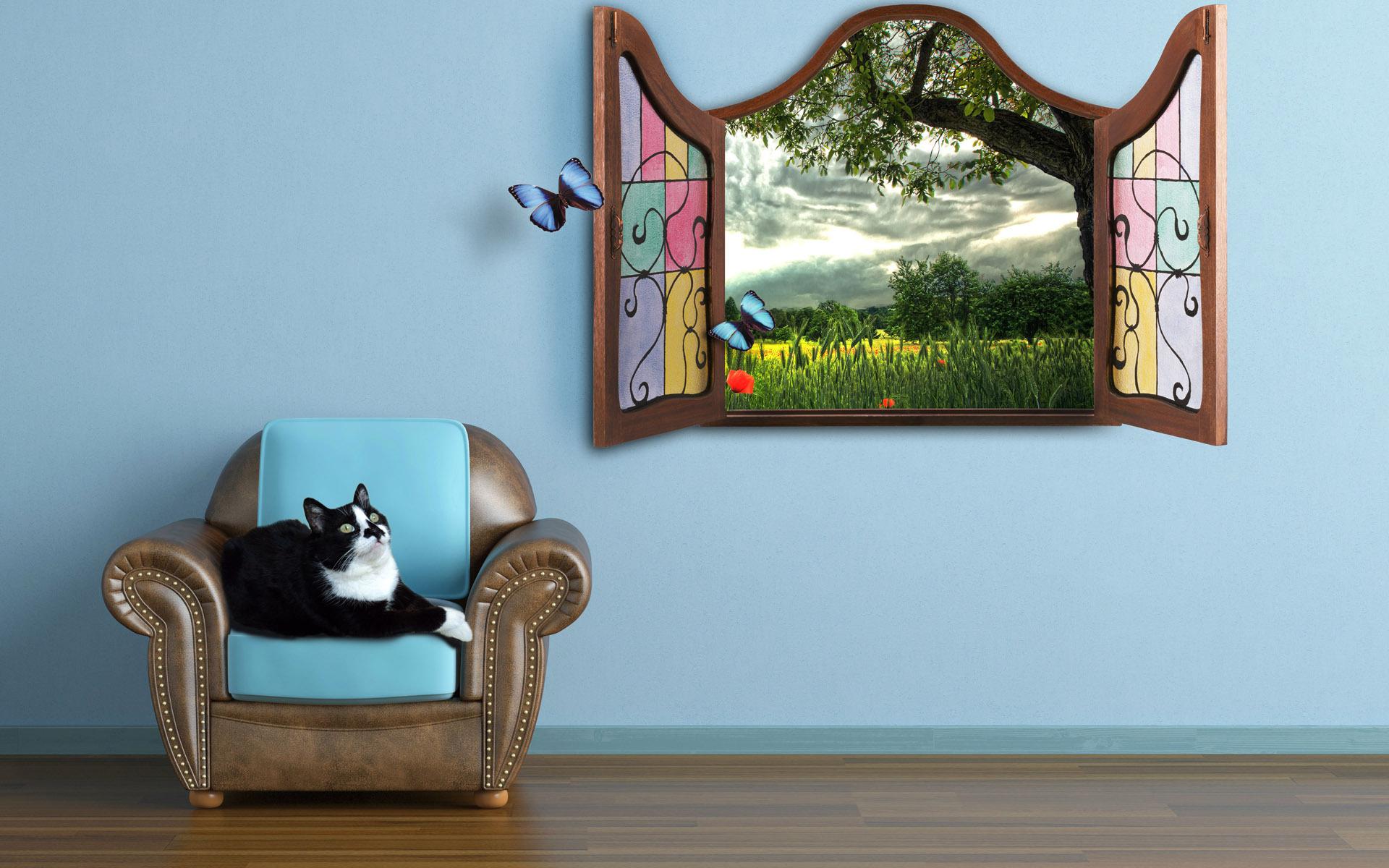 animal, cat, butterfly, fairy tale, spring, window, cats Full HD