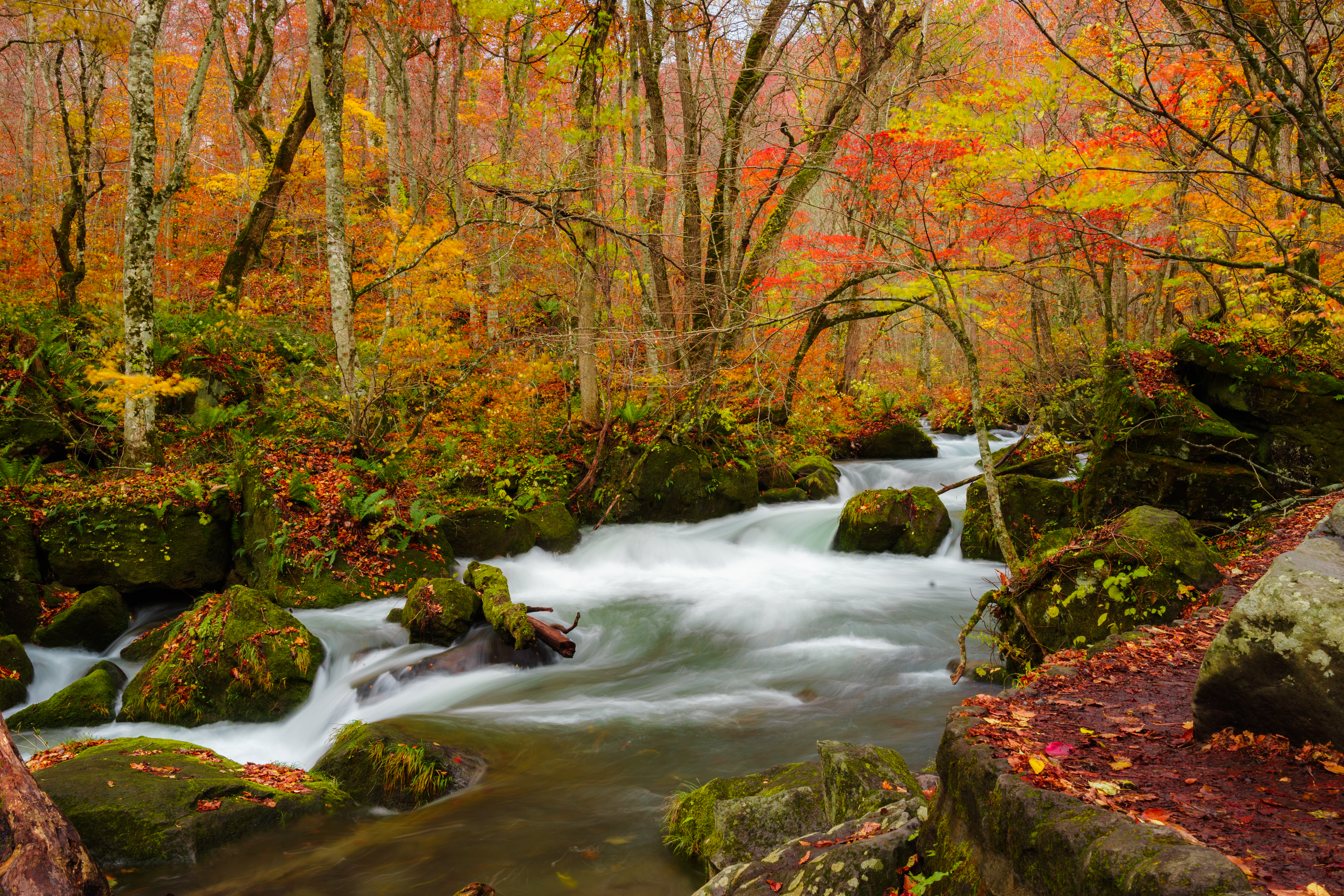 Скачать обои бесплатно Деревья, Поток, Река, Листья, Природа, Осень картинка на рабочий стол ПК