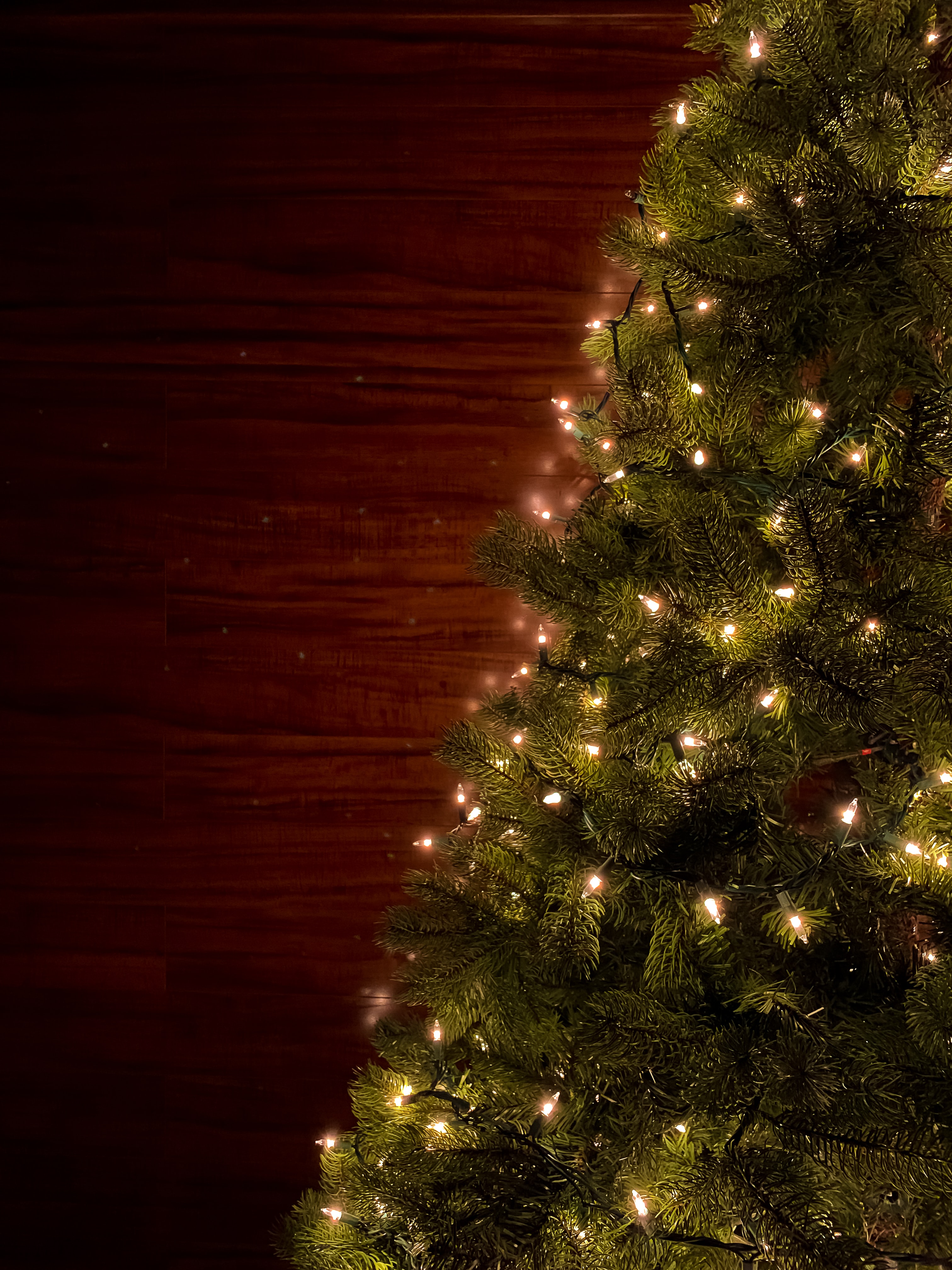 Скачать картинку Елка, Рождество, Гирлянды, Новый Год, Праздники в телефон бесплатно.