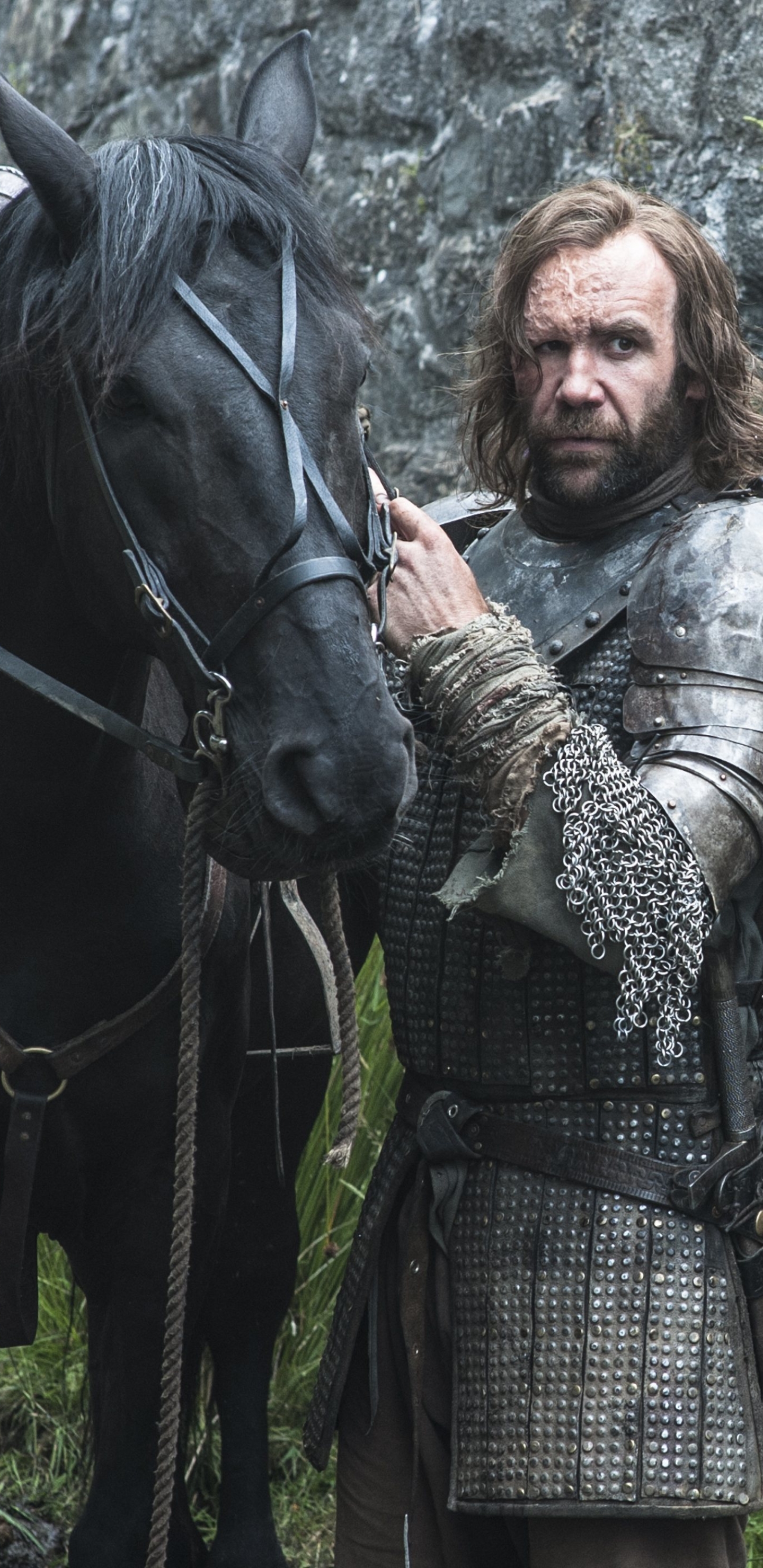 Descarga gratuita de fondo de pantalla para móvil de Juego De Tronos, Series De Televisión, Rory Mccann, Sándor Clegane.