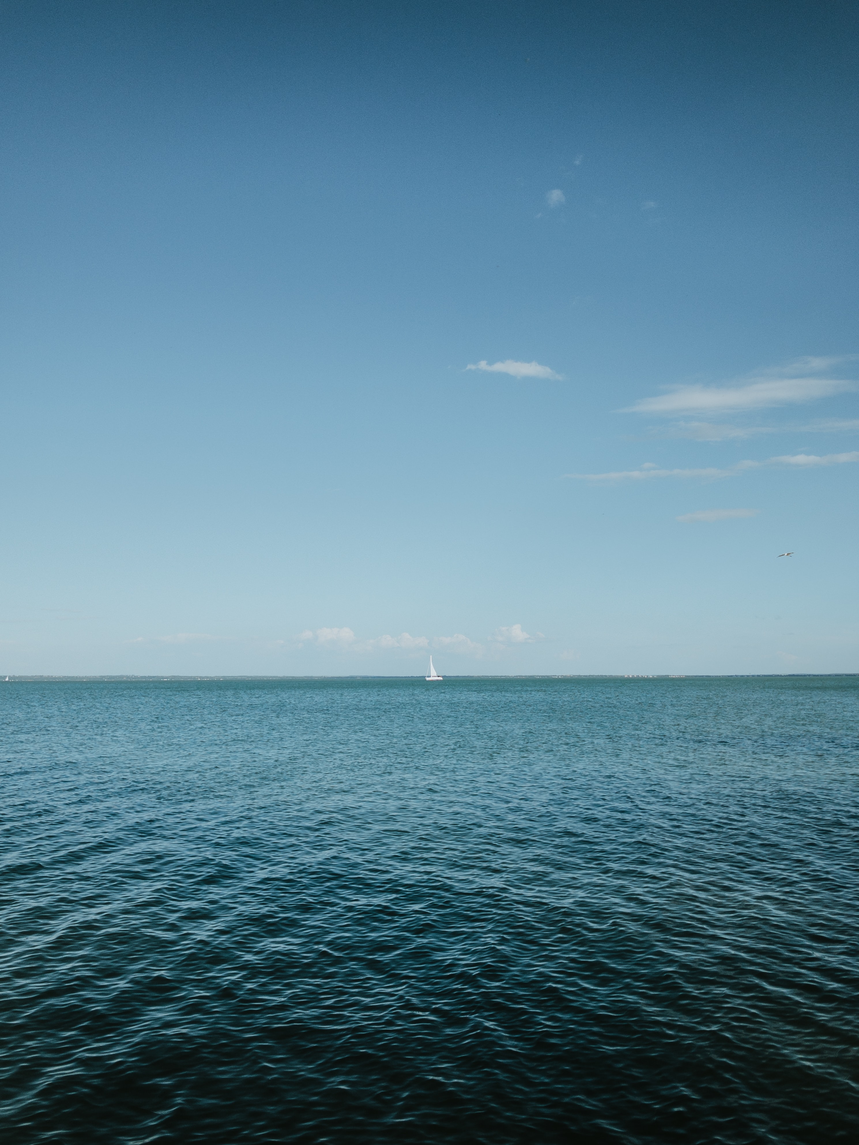 sailboat, sea, nature, sky, horizon, sailfish Full HD