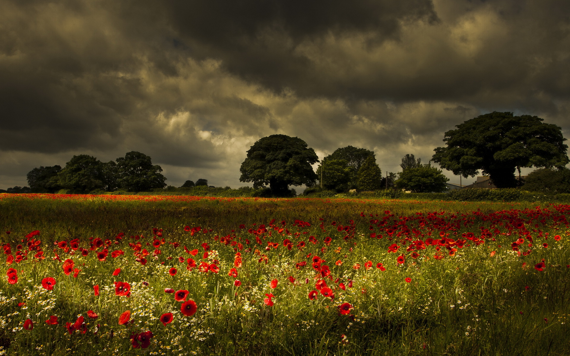 Handy-Wallpaper Landschaft, Erde/natur kostenlos herunterladen.