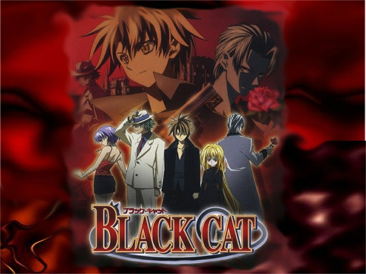 Download mobile wallpaper Anime, Black Cat for free.