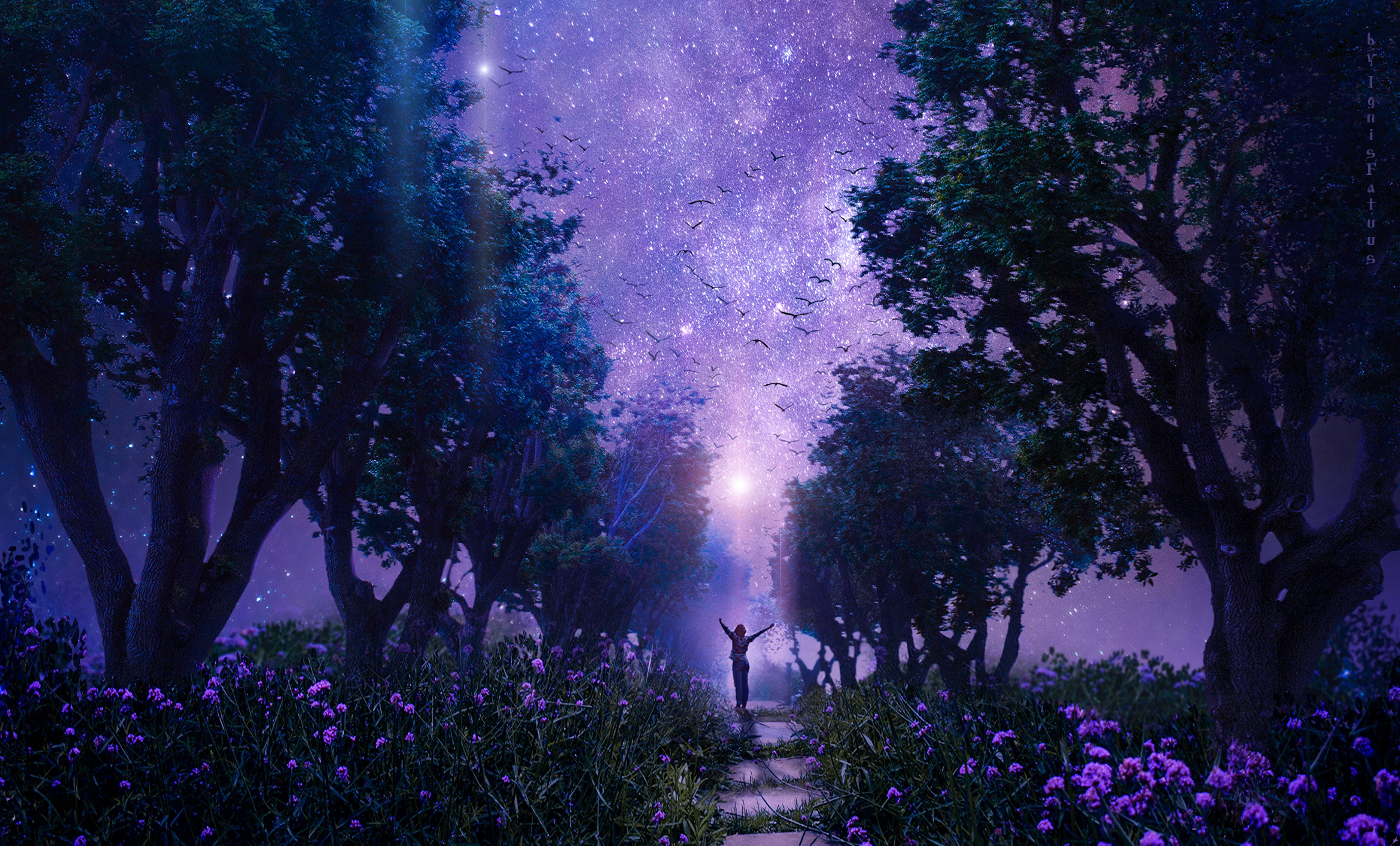 fairy, starry sky, art, fantasy, purple, violet, forest, fabulous HD wallpaper